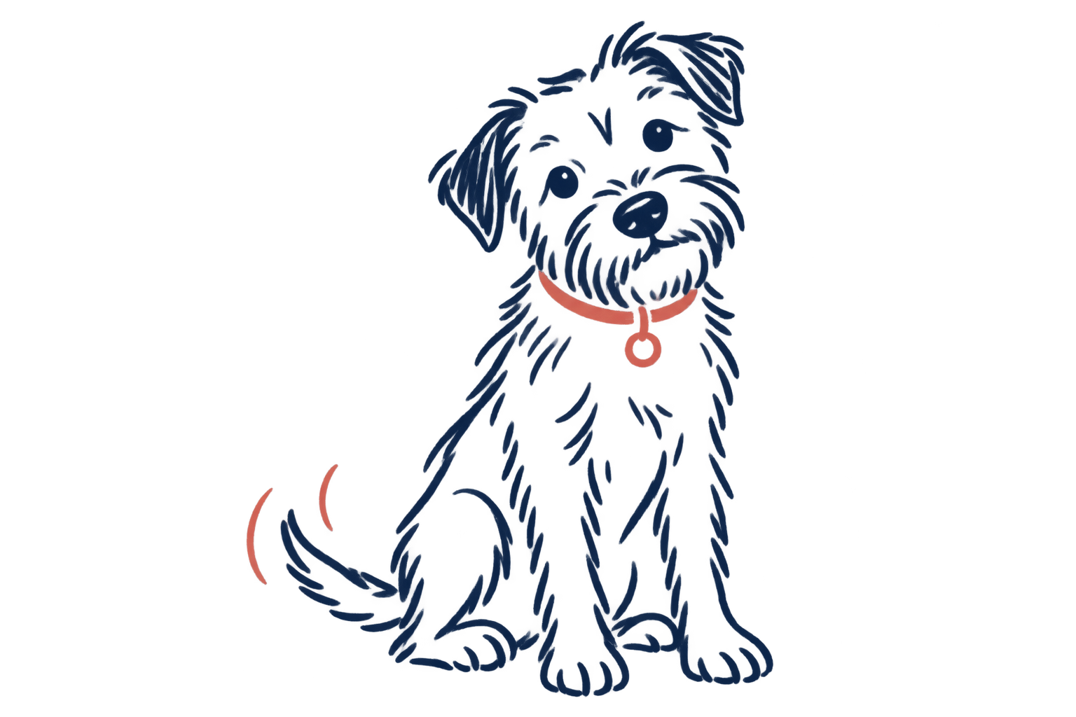 Hand-drawn illustration of a Border Terrier