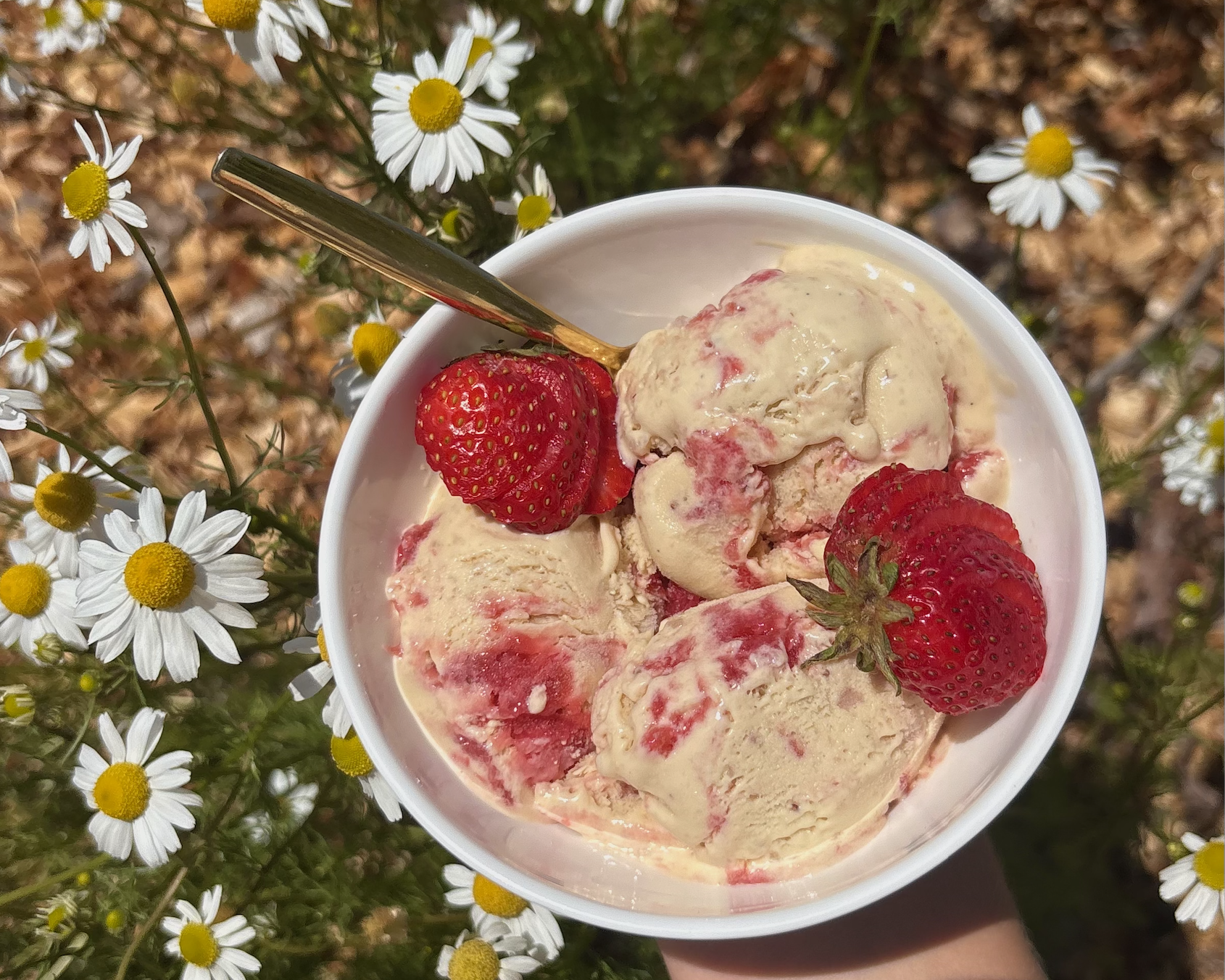 Vanilla ice cream with strawberry rhubarb swirl 