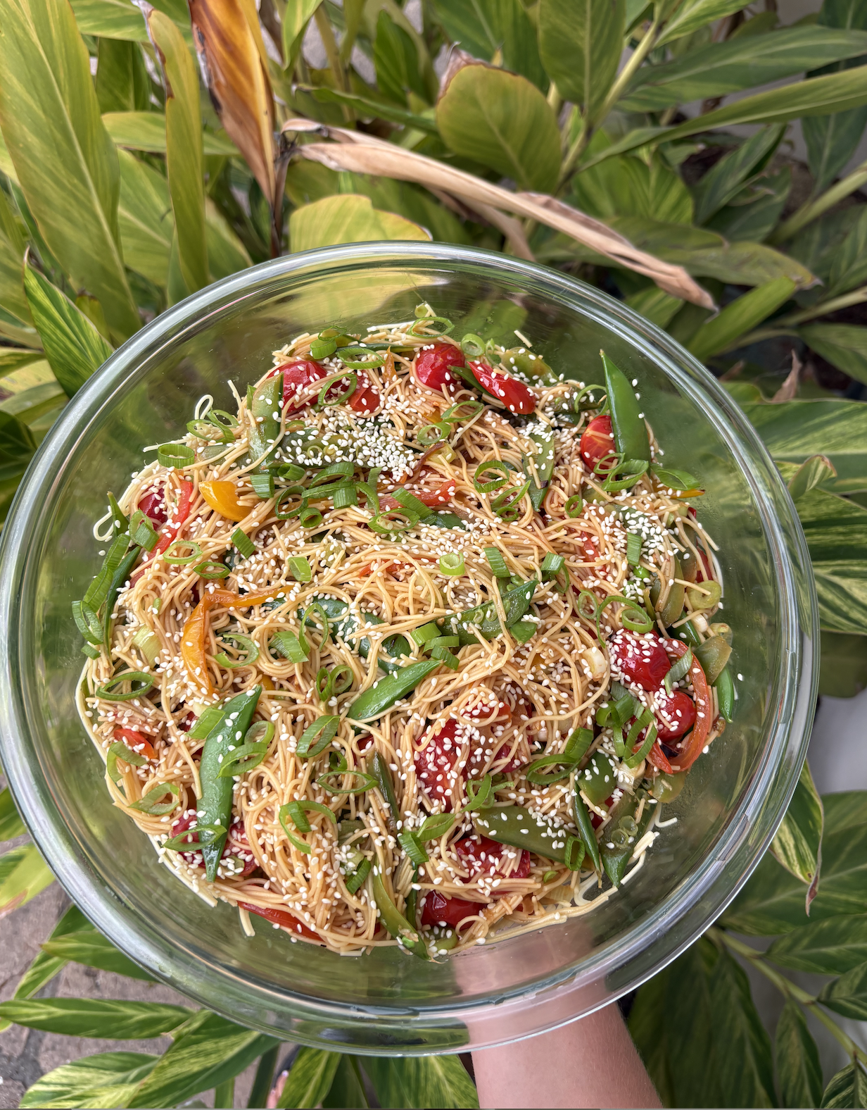 Cold sesame noodle Sslad 