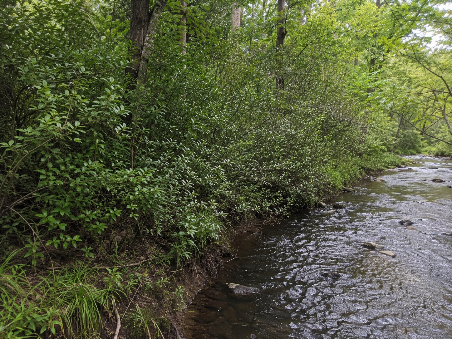 Environmental Compliance Services