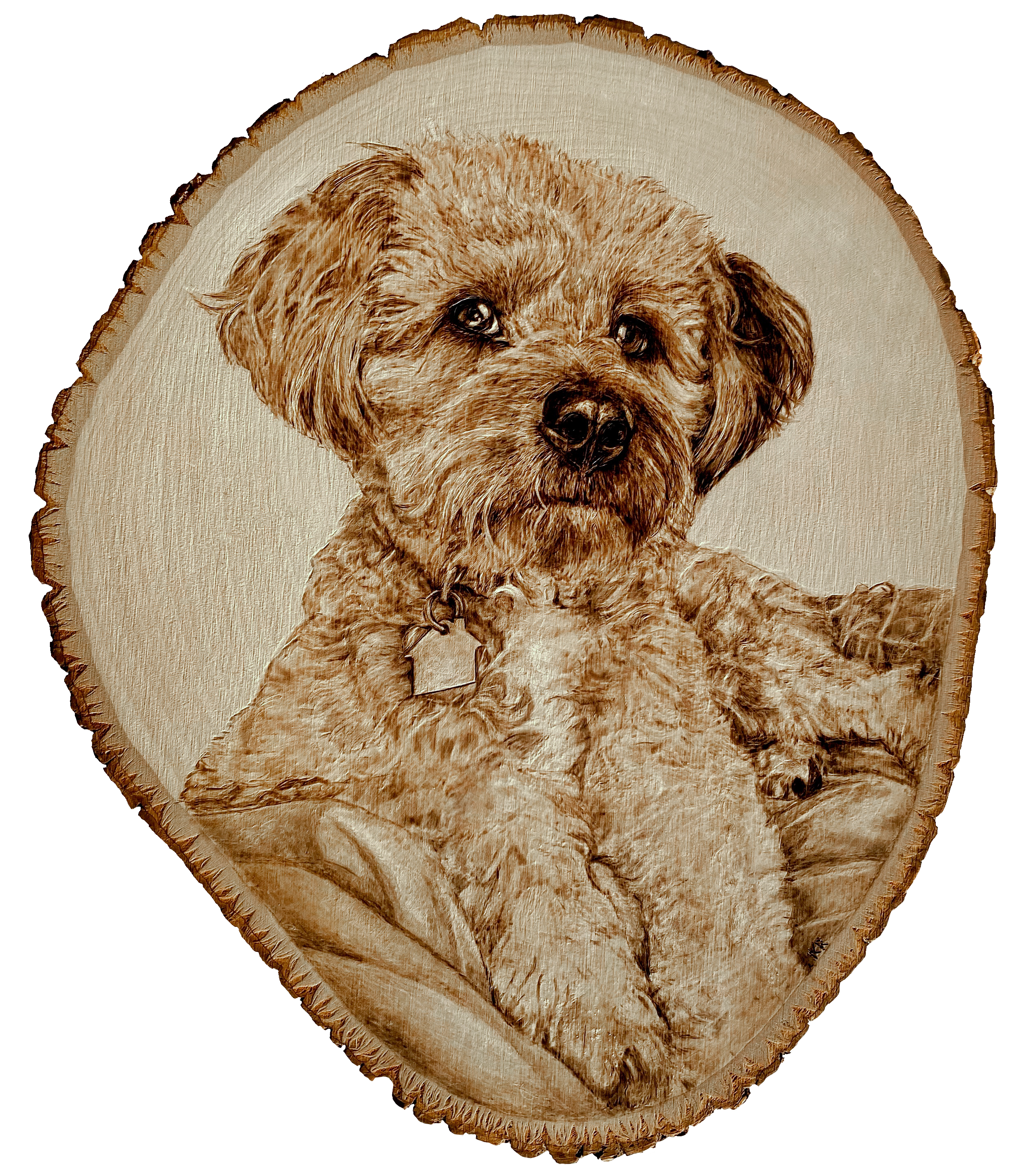 Pyrography portrait of a small curly-haired mixed-breed dog on a natural basswood slice.