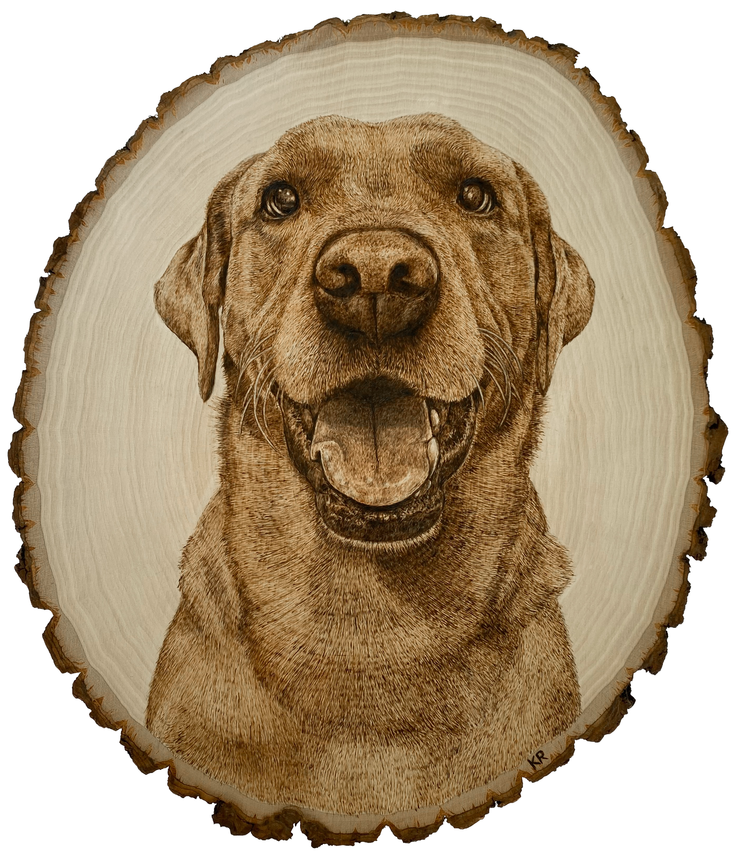 Pyrography portrait of a smiling red Labrador retriever on an oval basswood slice.