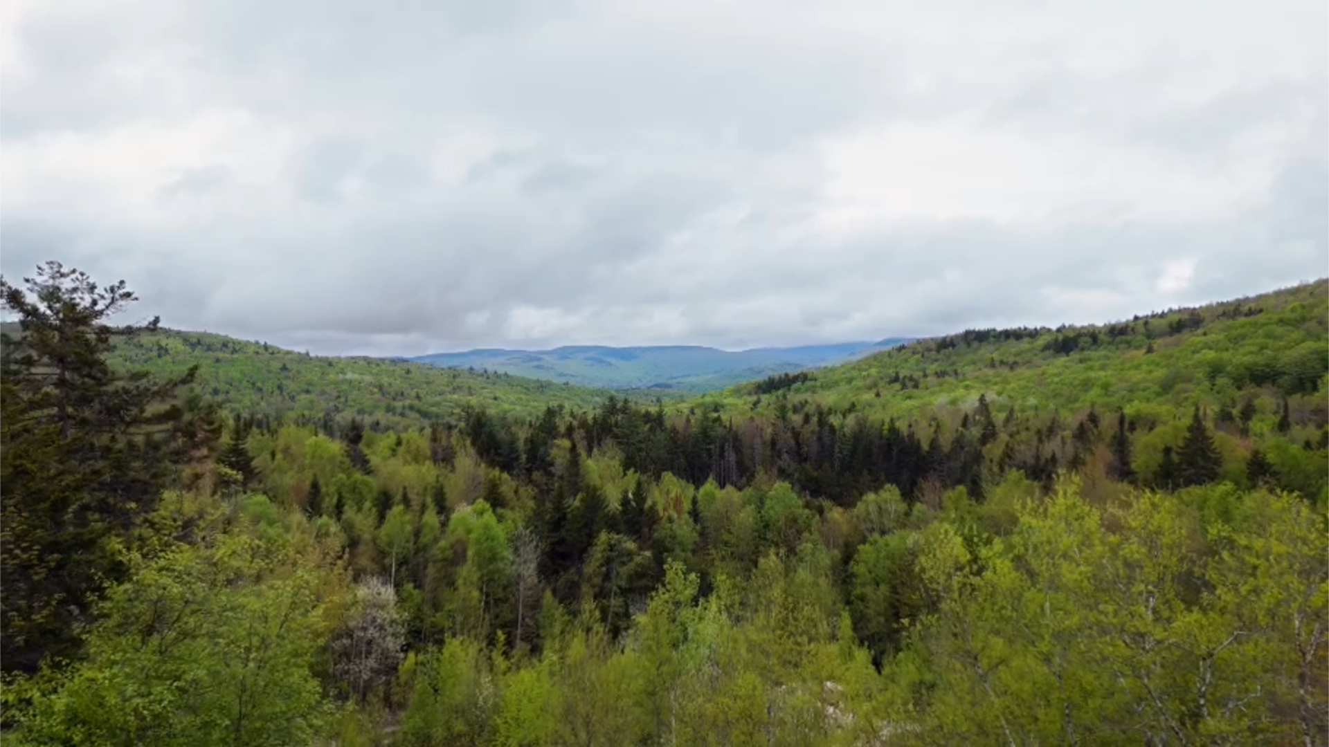 A panoramic view of lush green forested hills under a cloudy sky.