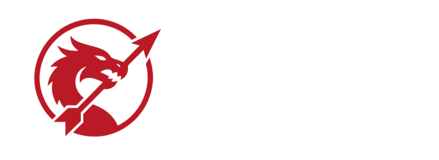 Dragonslayer Systems