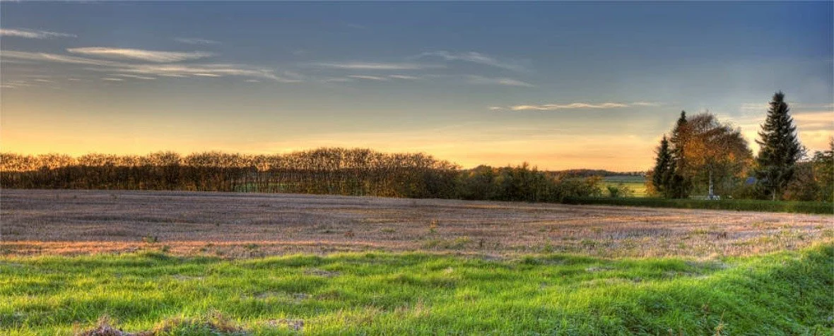 Raw Land Brokerage