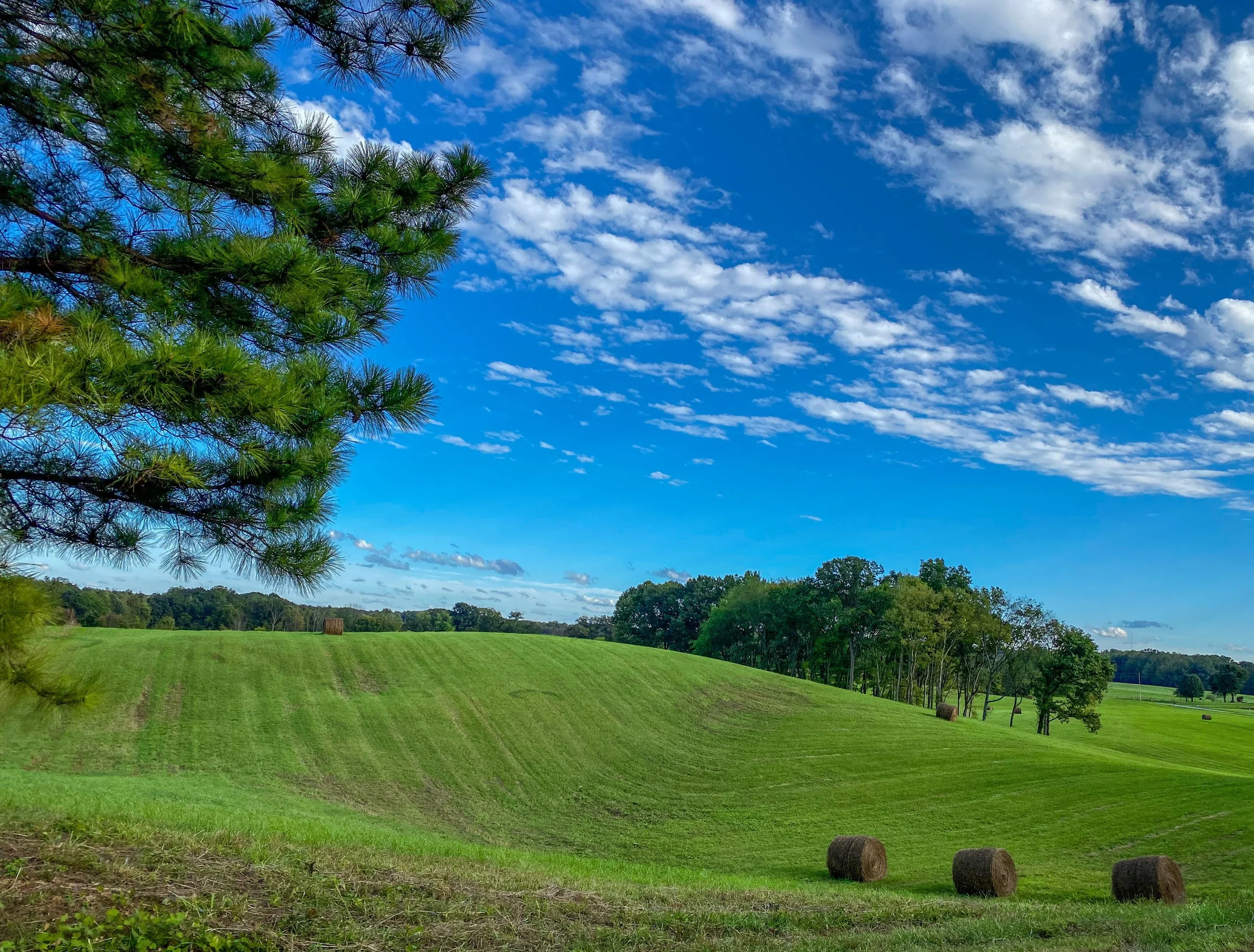A scenic landscape with a green field, hay bales, trees, and a bright blue sky with scattered white clouds.