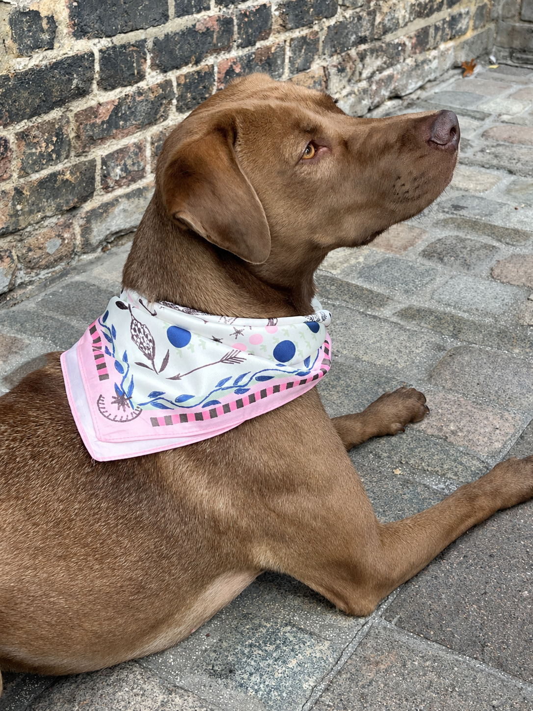 The Galloping Satin Twill Scarf