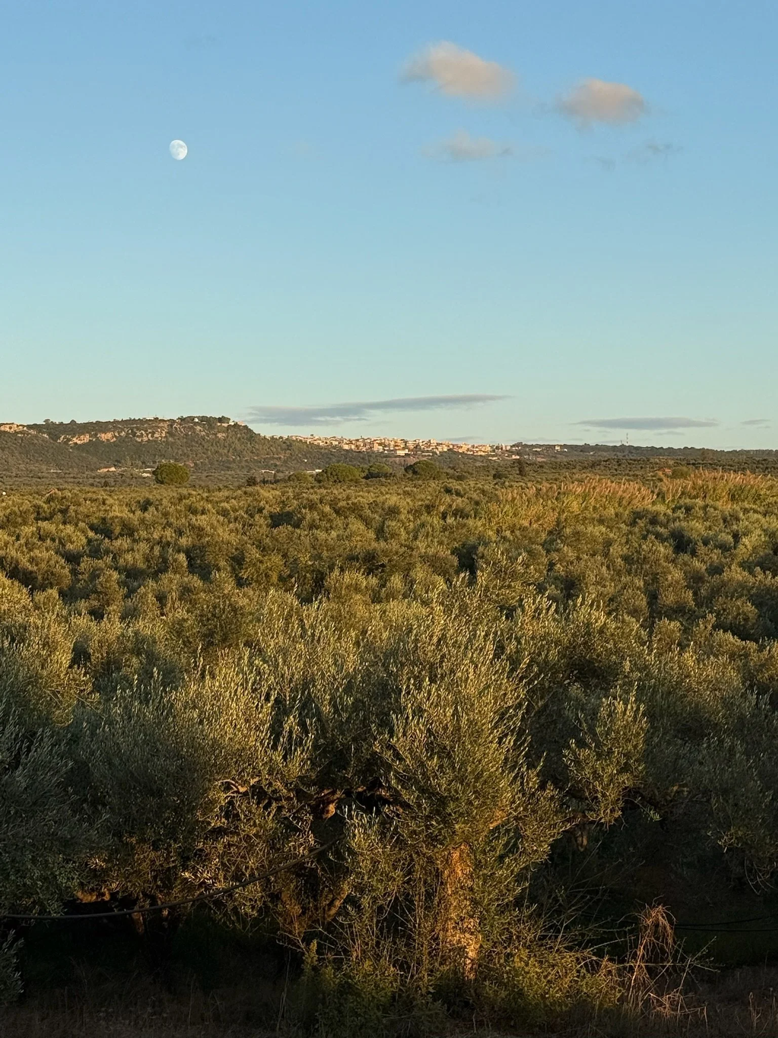 Landscape with rolling green hills, trees, and a small town or village in the distance under a clear blue sky with some clouds and a visible moon.