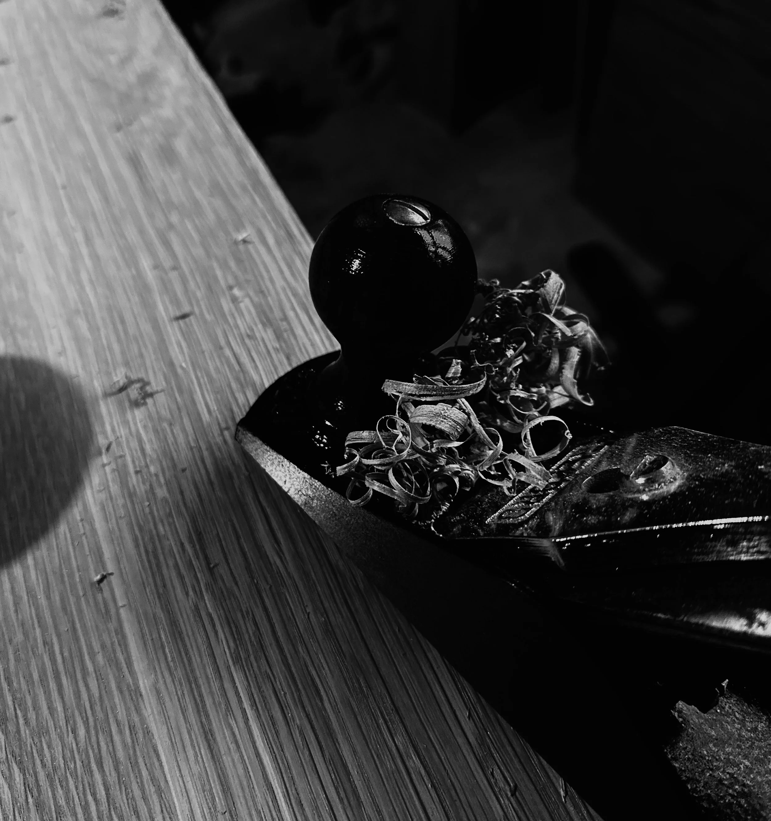 IMG_6955.jpeg