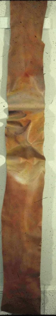   Vasudhara , Acrylic on fiberglass, 18" x 72", 1975  