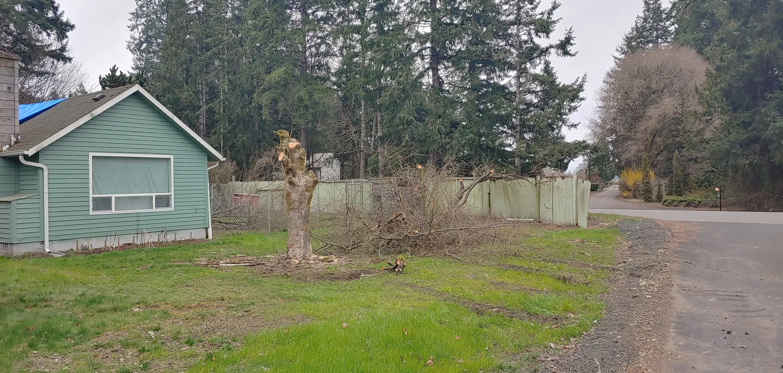 0319231536_HDR.jpg
