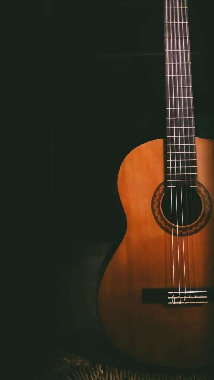 An acoustic guitar with a natural wood finish, dark fretboard, and decorative rosette around the sound hole, partially visible against a dark background.