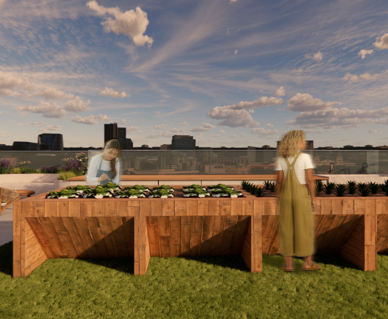 rooftop garden beds by Jasmin Heimerl