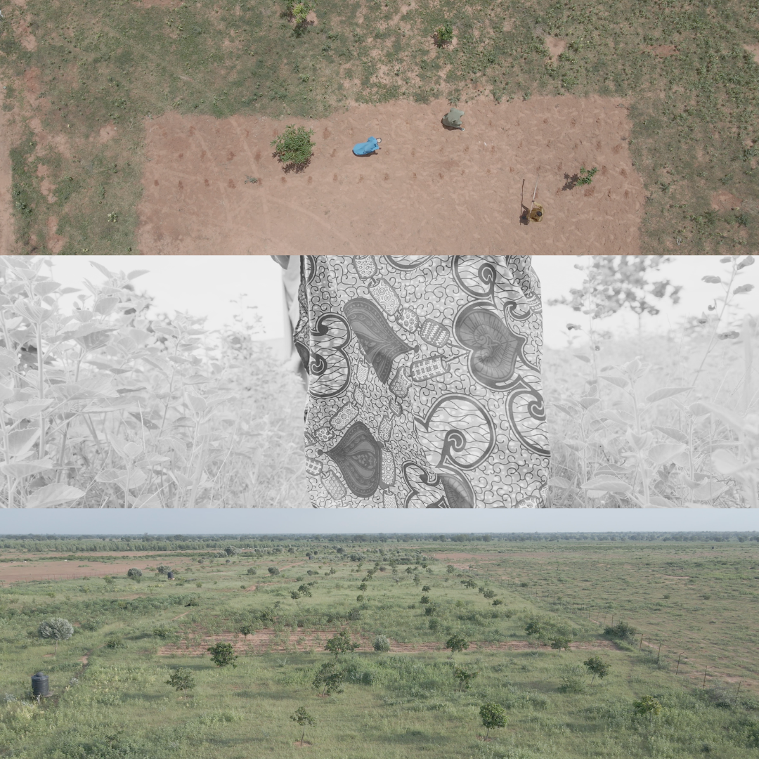 Jeji Restoration Outlook Report 2025