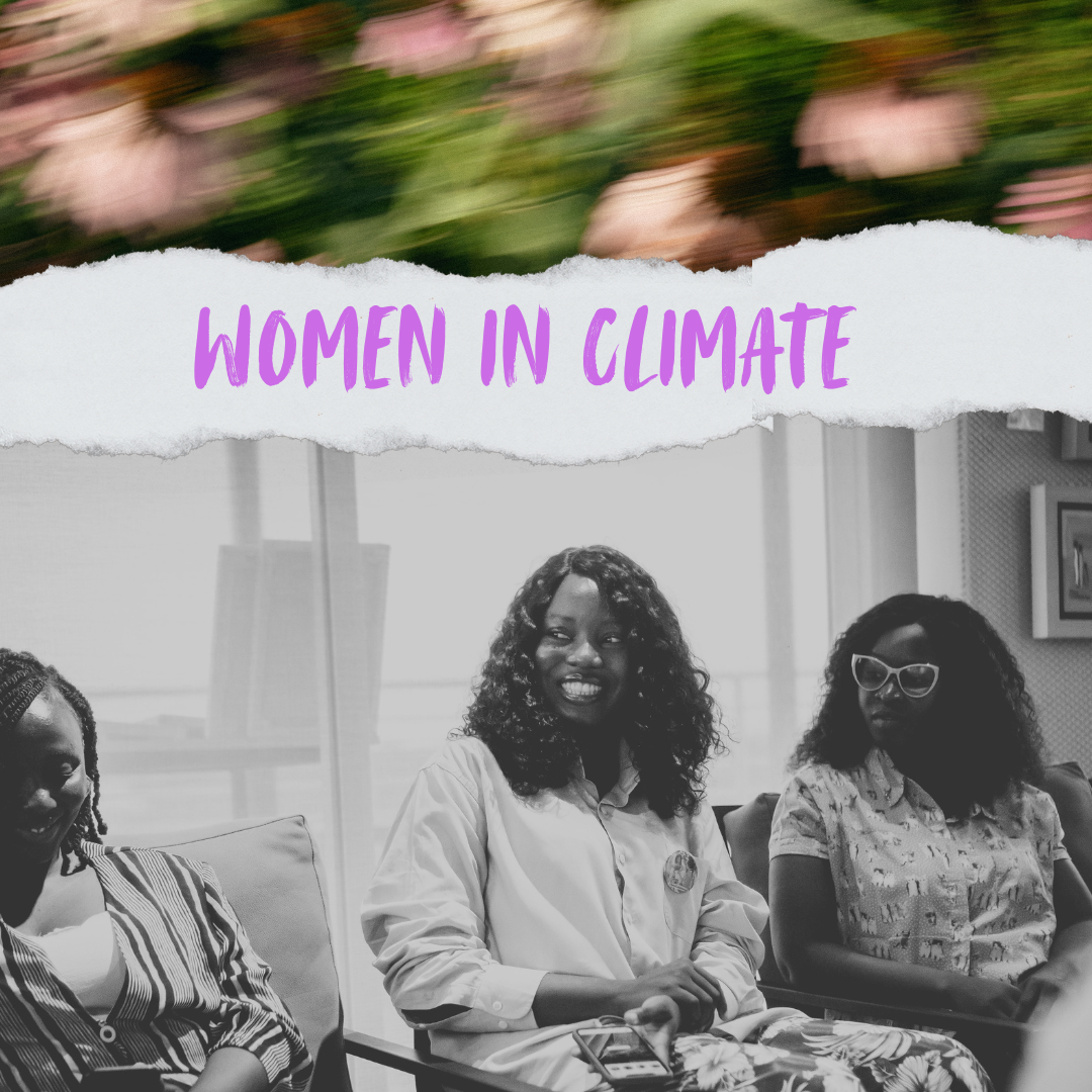 Women in Climate - Celebrating Nigeria's Changemakers