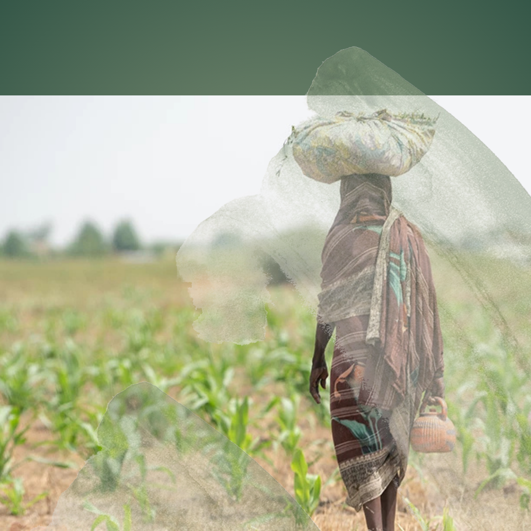 Advancing Community Development And Refugee Rights
