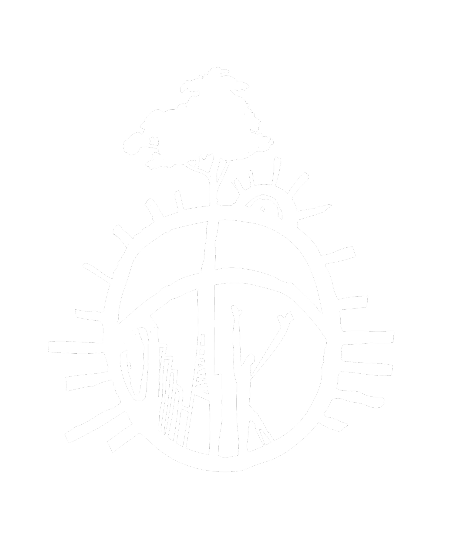 Surge Africa