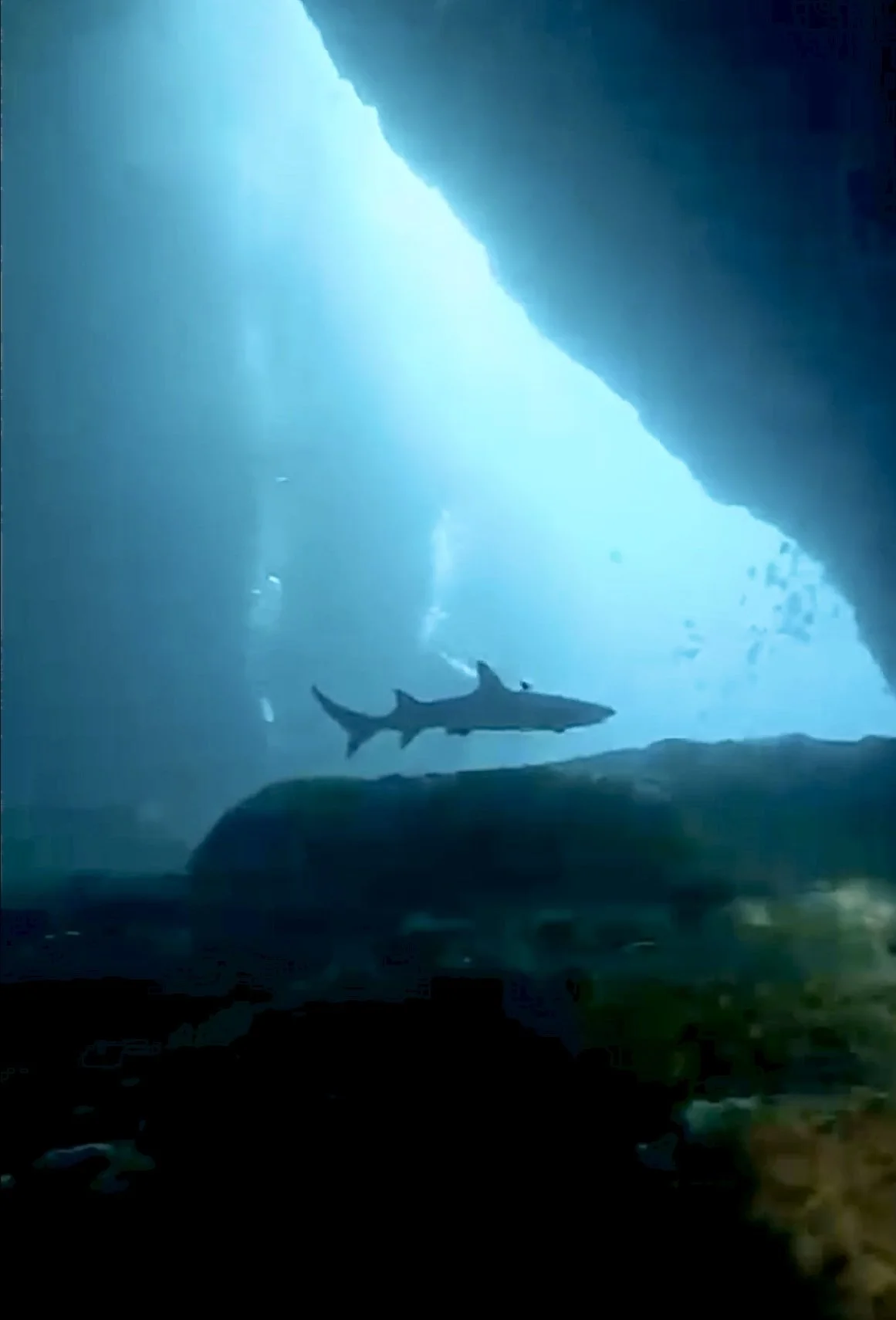 Shark Cave, Gili Biaha