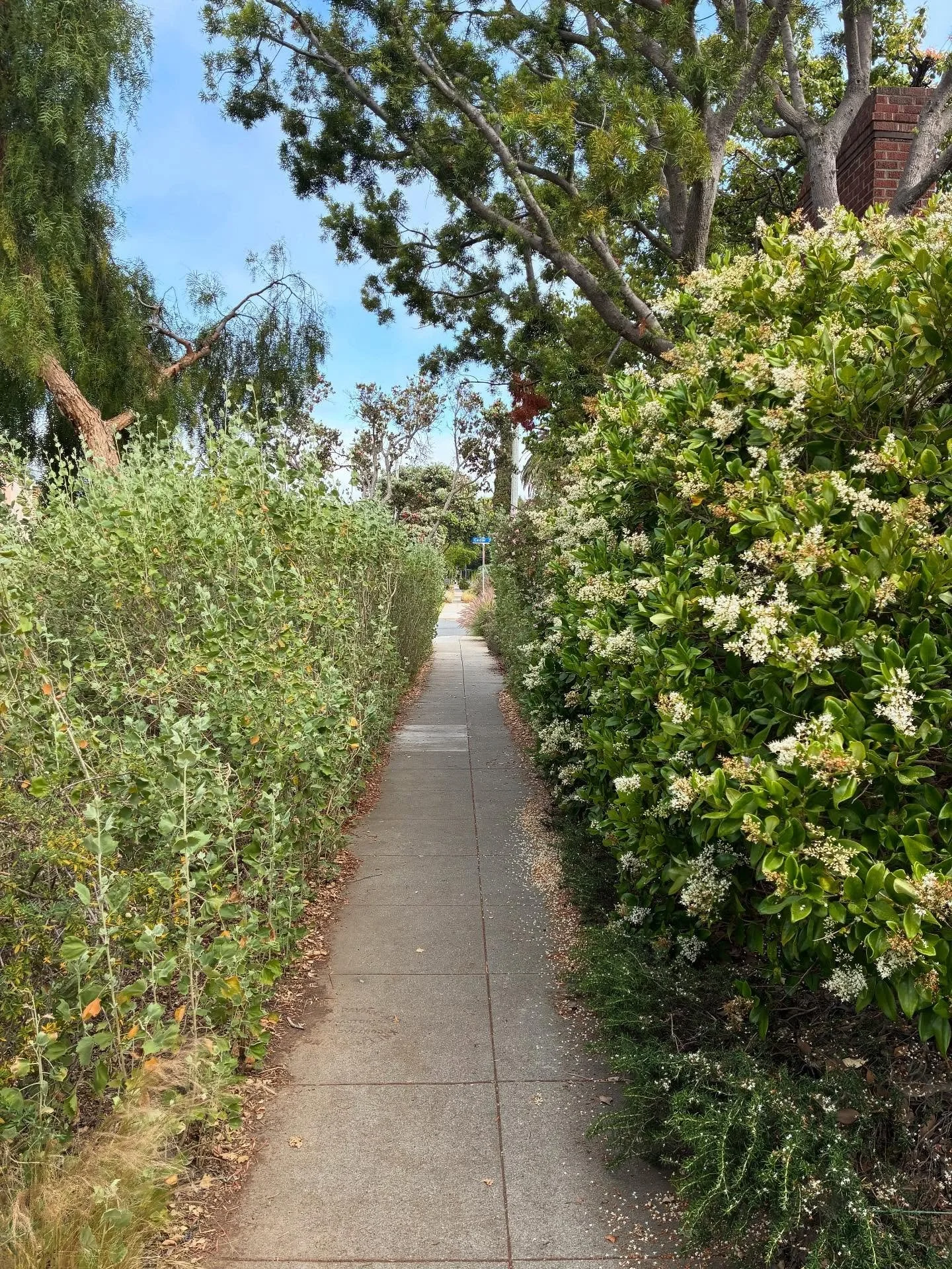 &ldquo;For wide is the gate and broad is the road that leads to destruction, and many enter through it. But small is the gate and narrow the road that leads to life, and only a few find it.&rdquo; Matthew 7:13-14. Follow the narrow road. Even if it i