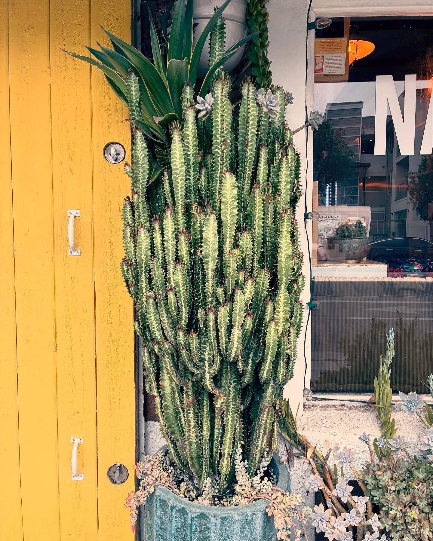 Everywhere you go, there is beauty.
