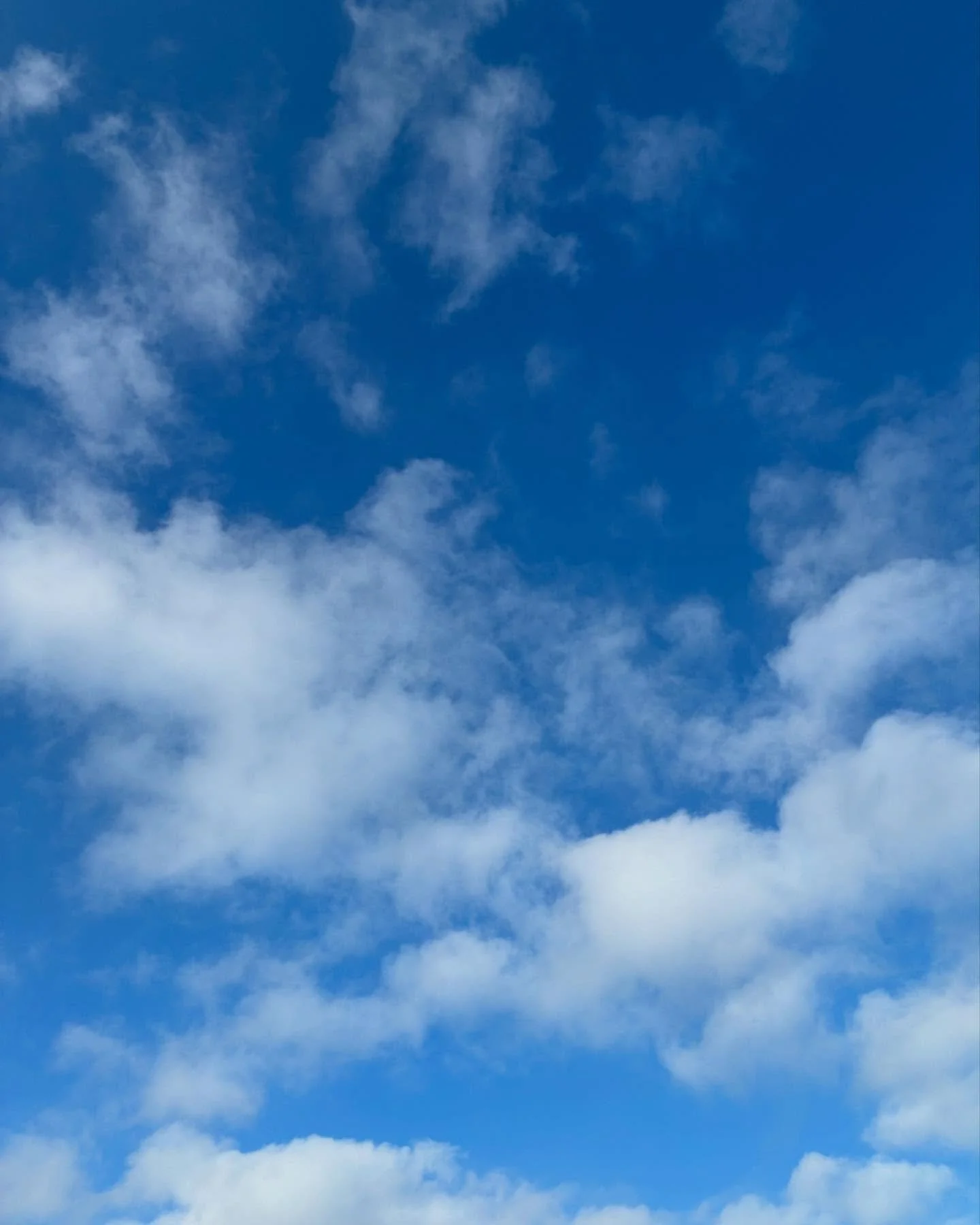 Remember that you are loved, that every minute you can begin anew. You are a blank slate every morning. There is no greater freedom and richness than this.