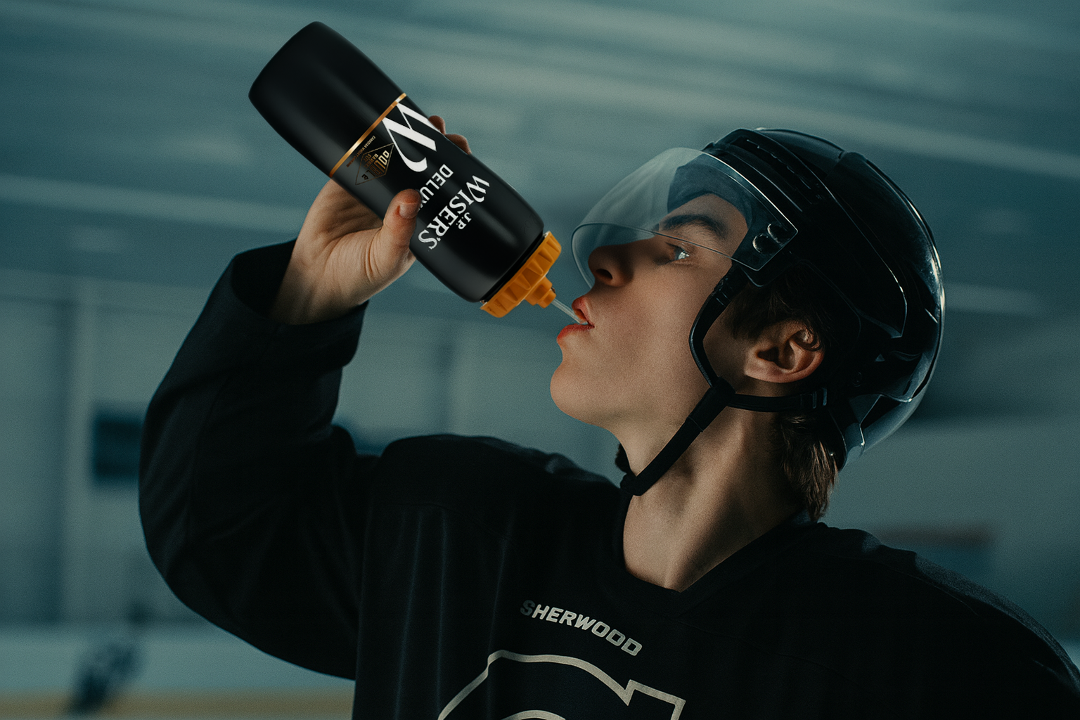 wiserade-hockey.png