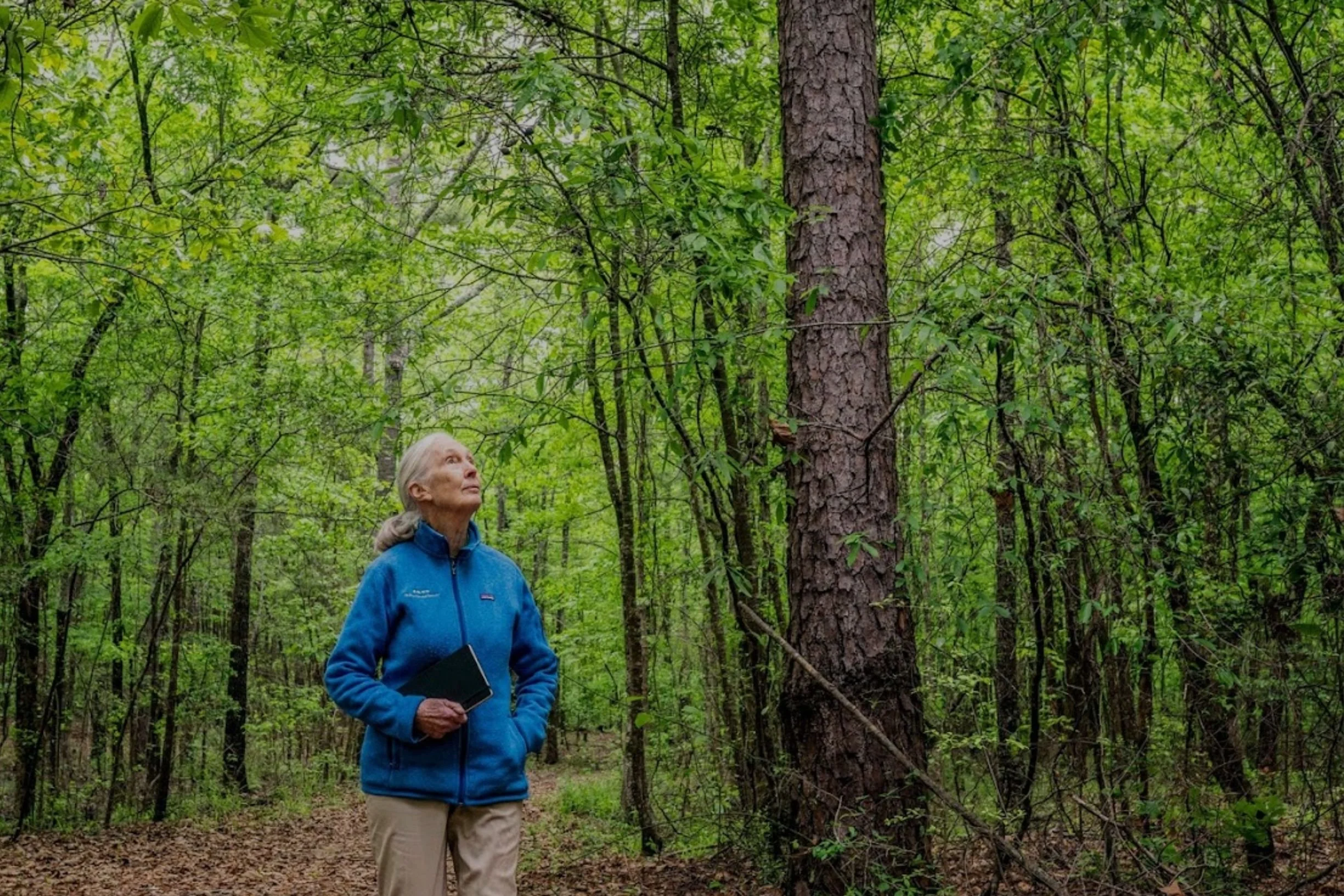 Jane Goodall Institute of Canada