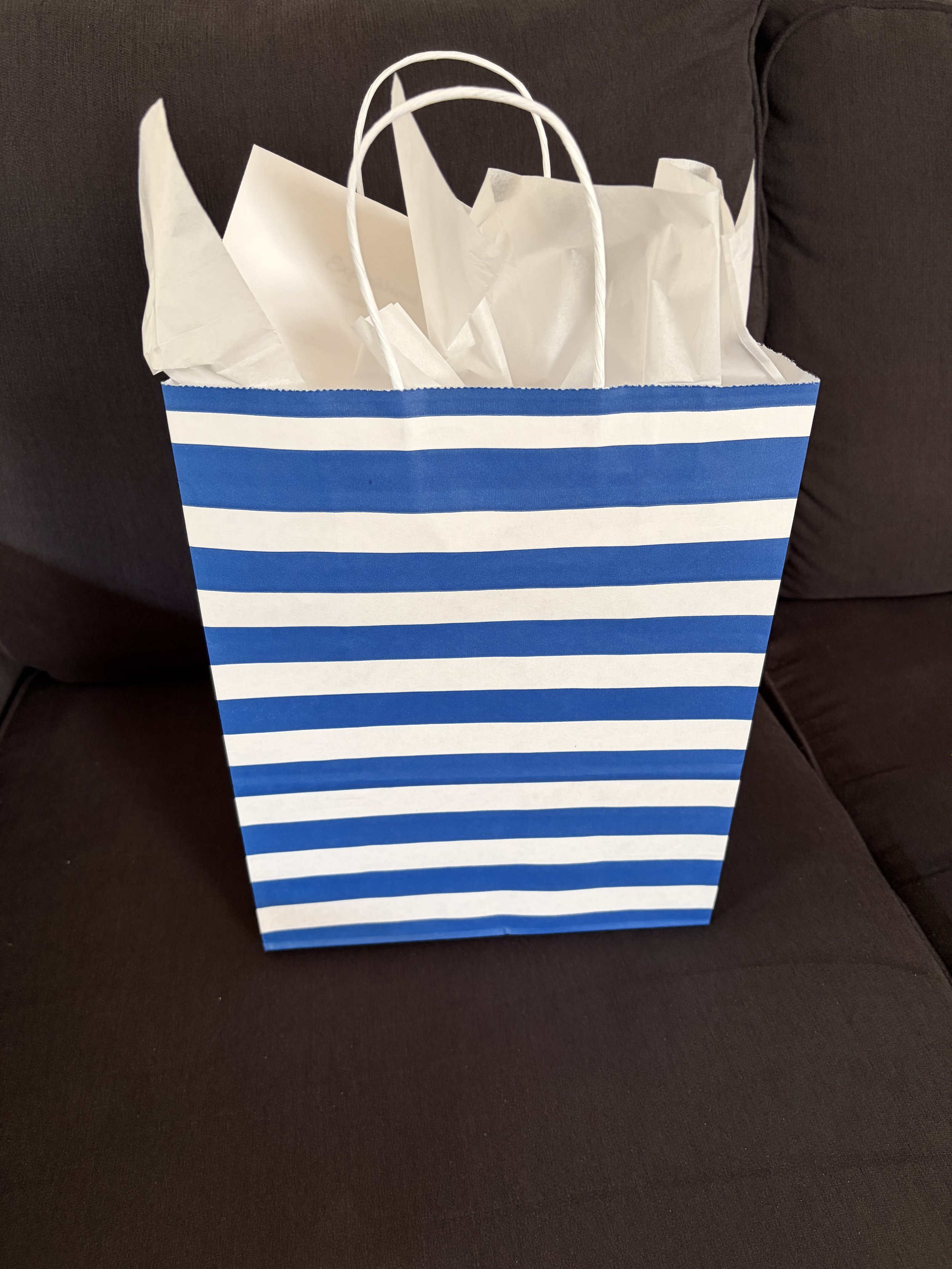 Blue and white striped bag
