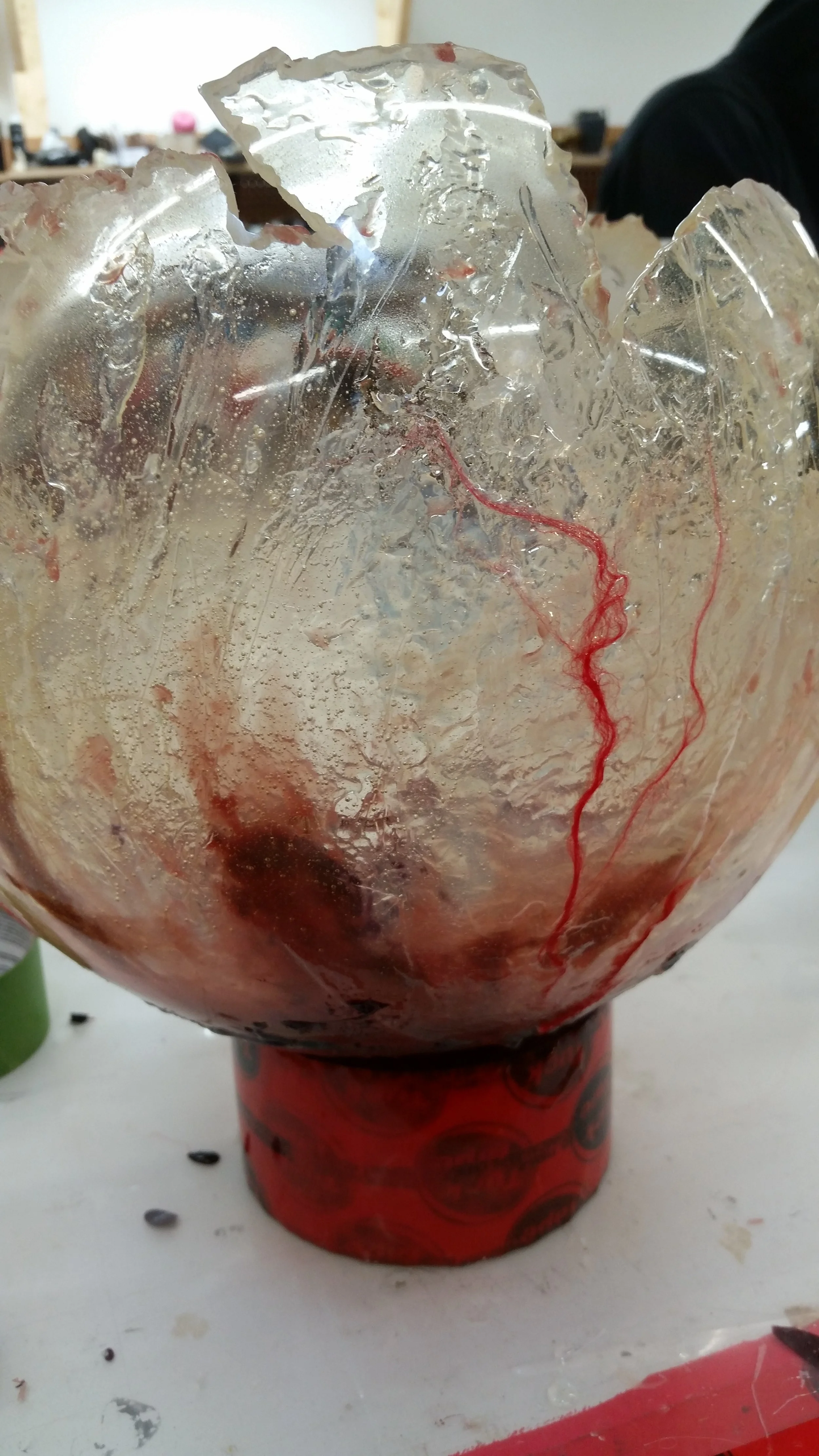 20190912_141154.jpg