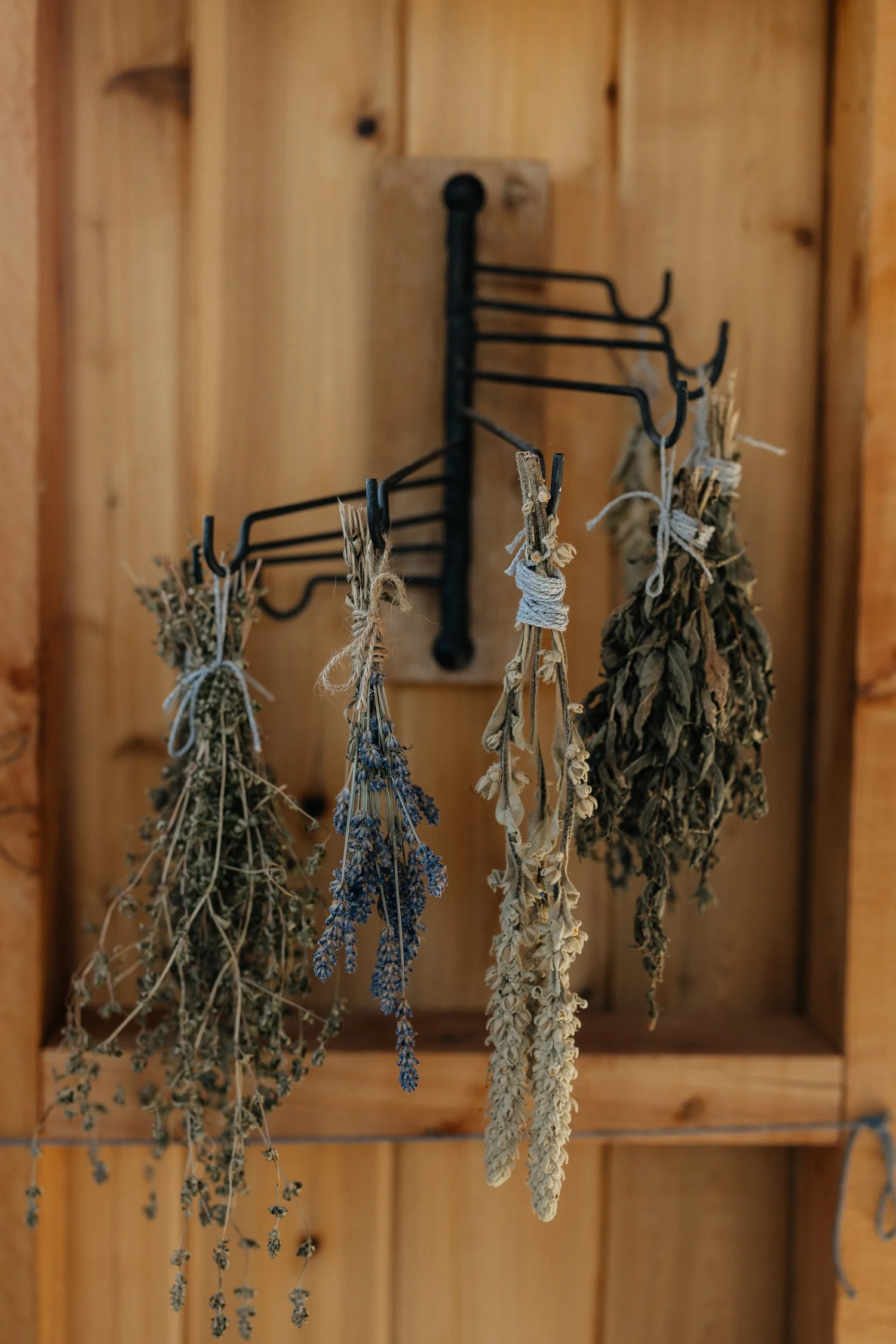 Dried flower bundles hanging from a black rack against a wooden wall