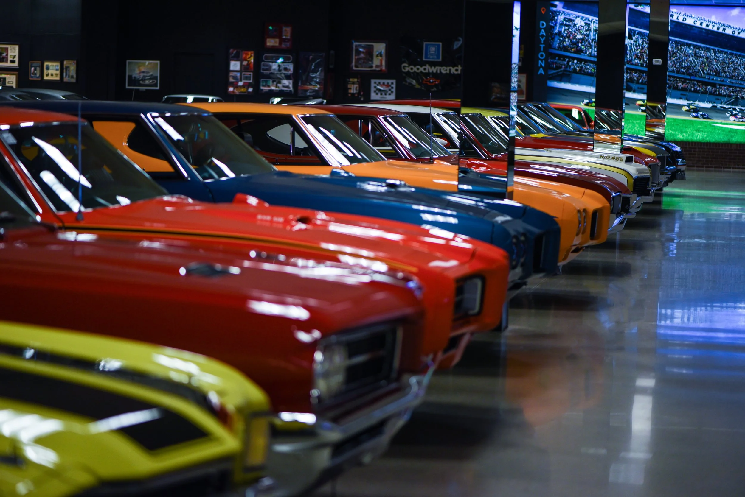DSC_7365.jpg