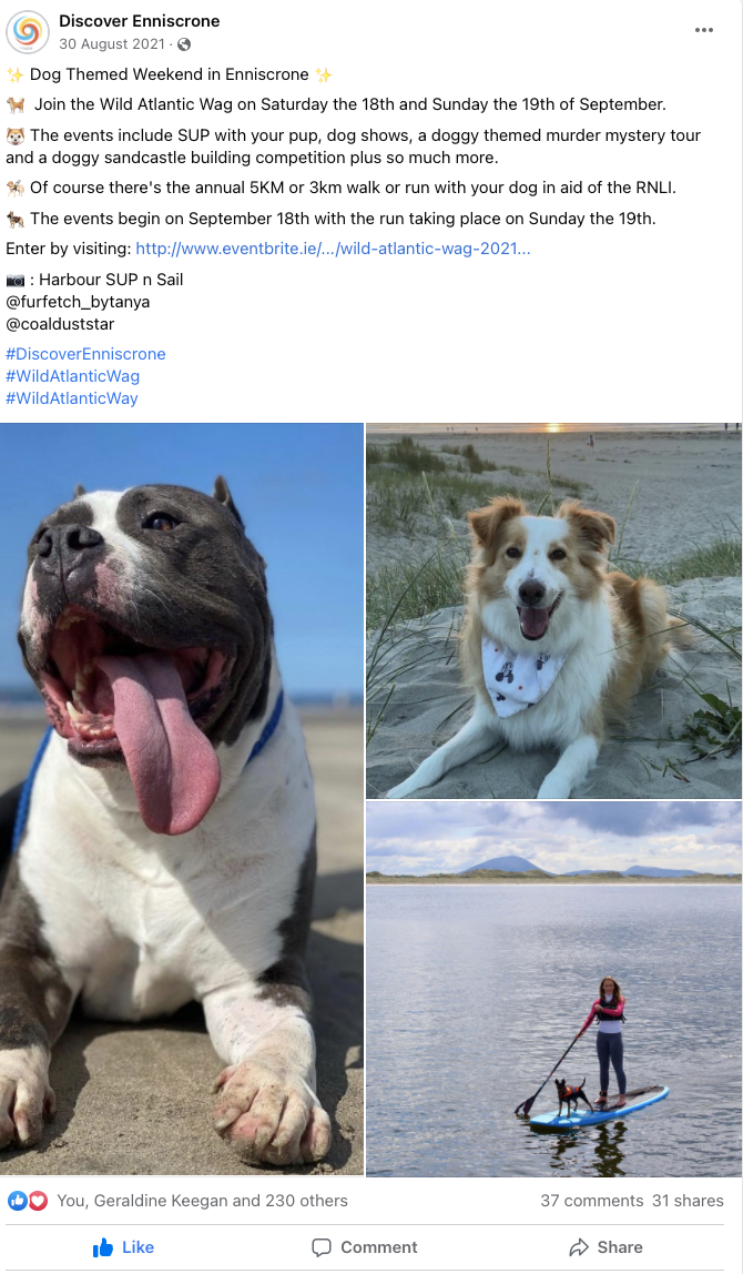 Discover Enniscrone Wild Atlantic Wag.png