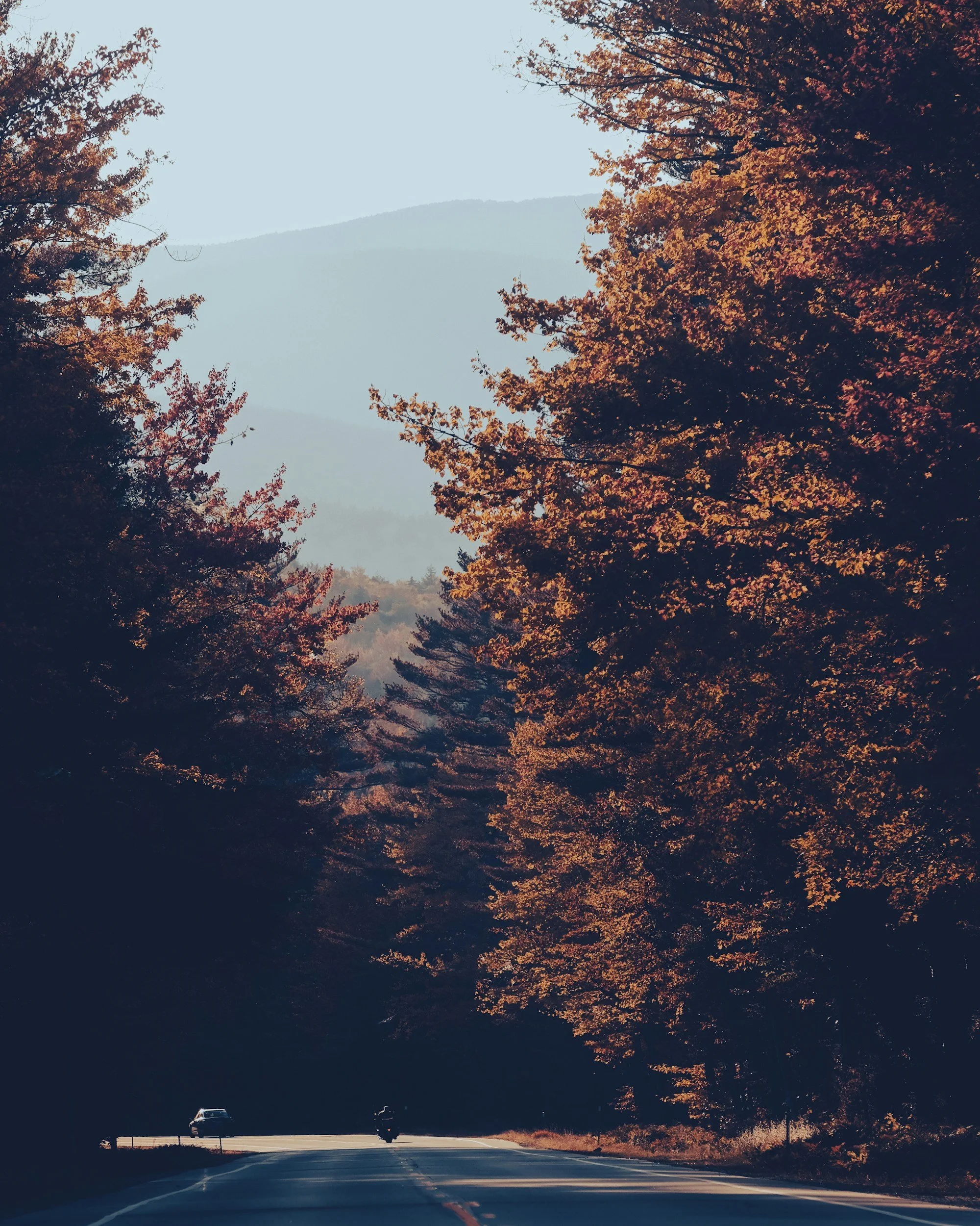 A road with a car and a motorcycle driving through a forest in the fall, with trees showcasing orange and red leaves, and mountains in the background under a clear sky.