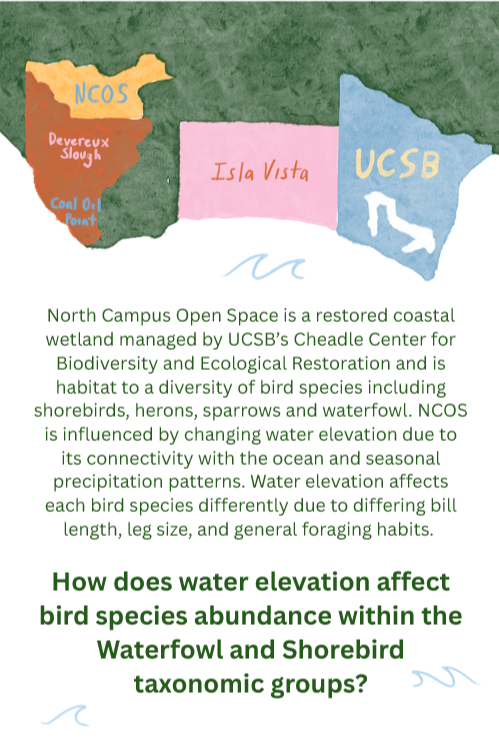 Final project for environmental data science class exploring local data. (2026)