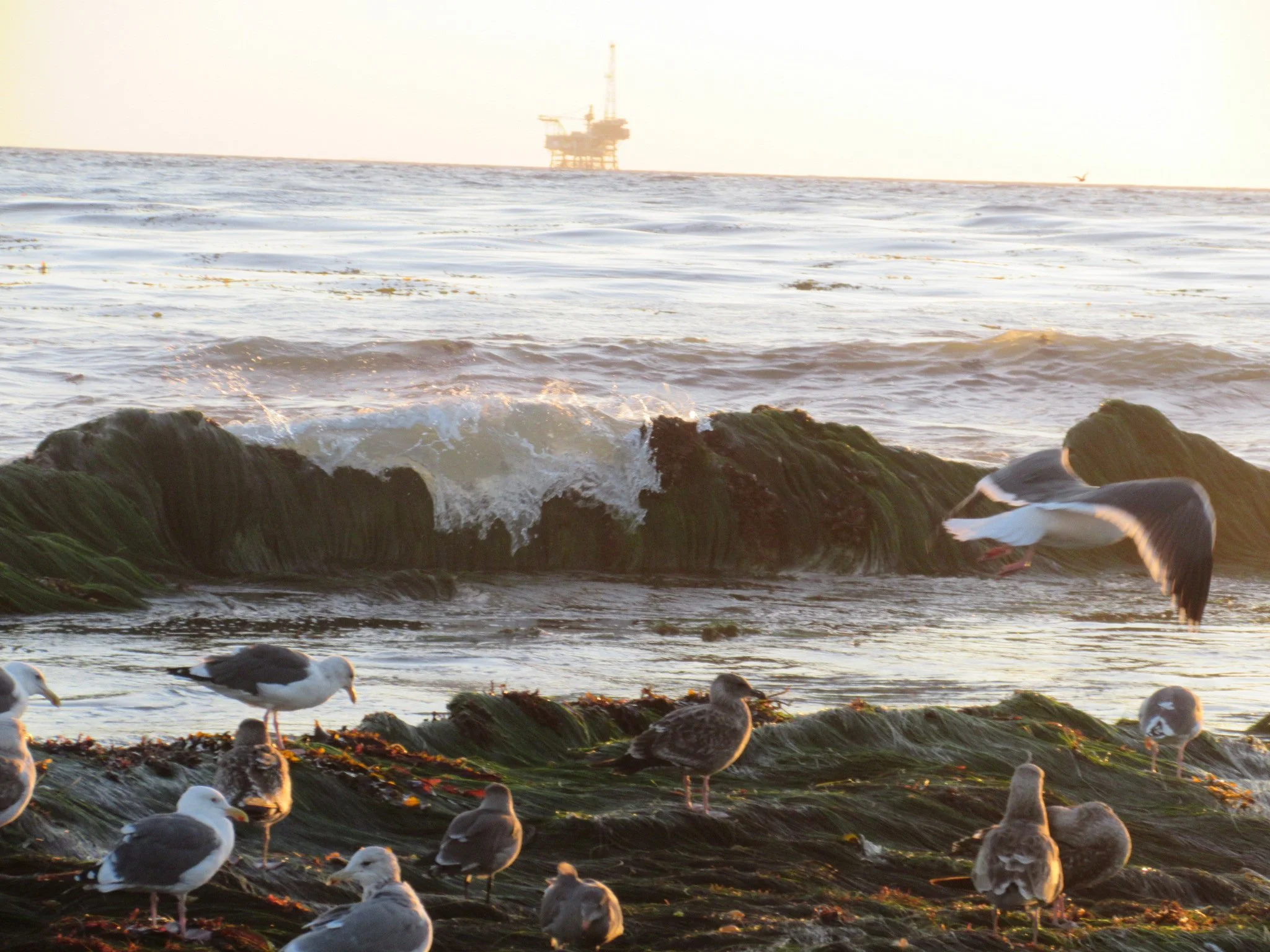 IMG_1752.JPG