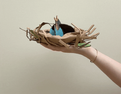 IMG_1634.gif