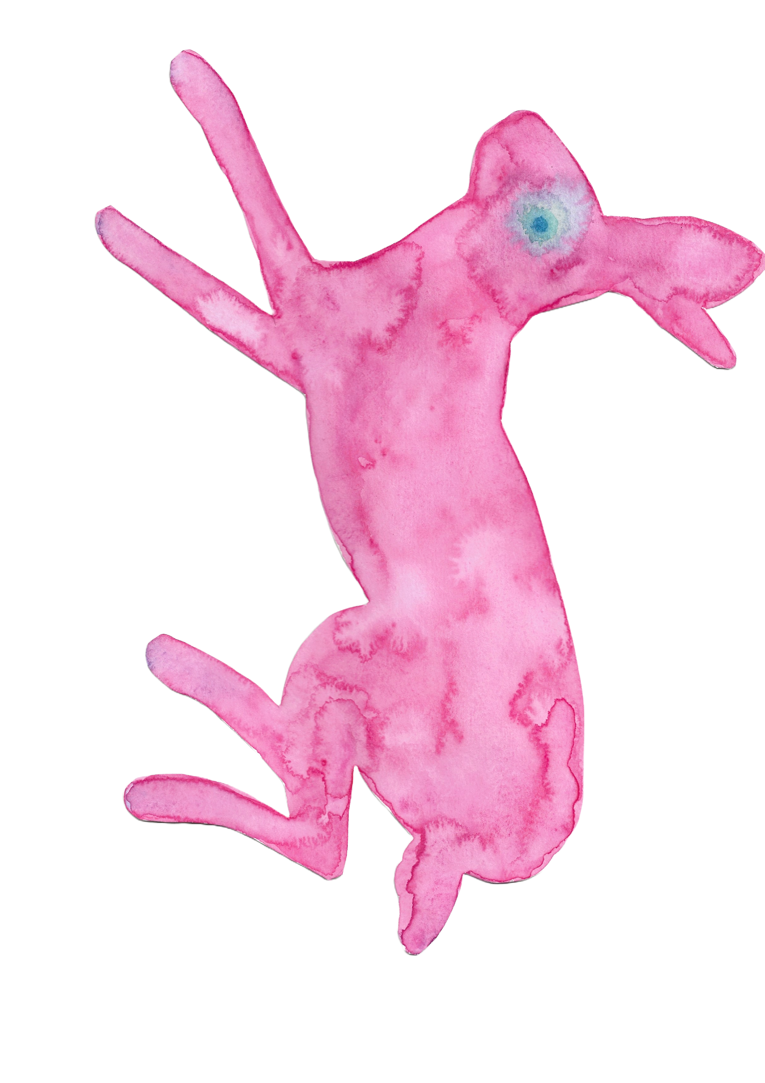 Watercolor. (2026)
