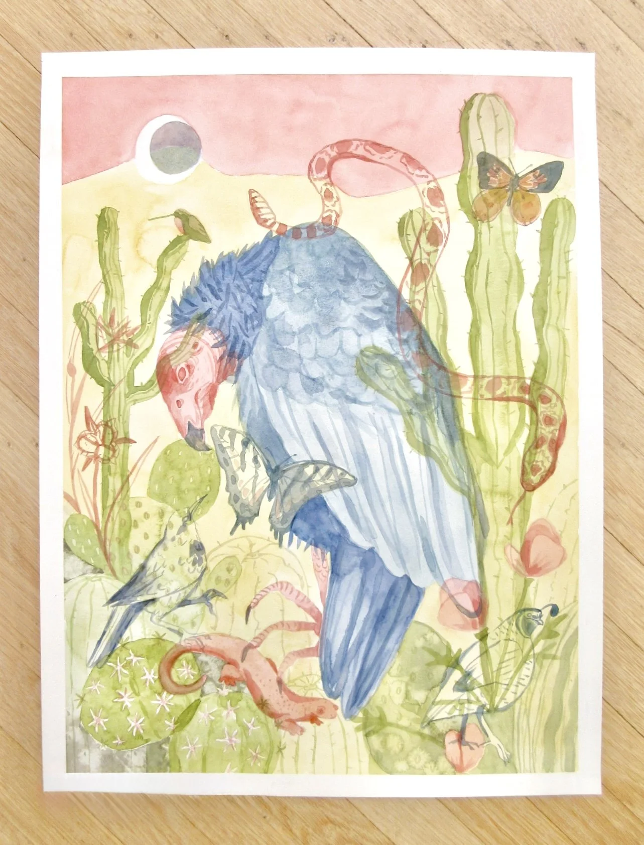 Watercolor of native California species. (2026)