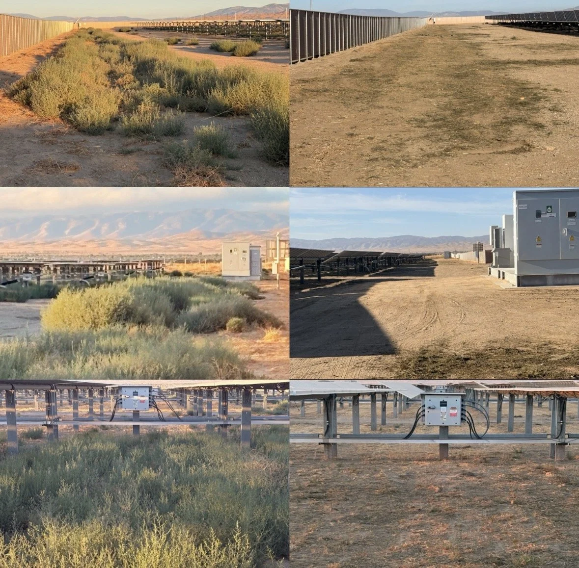 A collage of six photos showing a solar farm in a desert landscape, featuring solar panels, electrical equipment, and scattered desert vegetation.