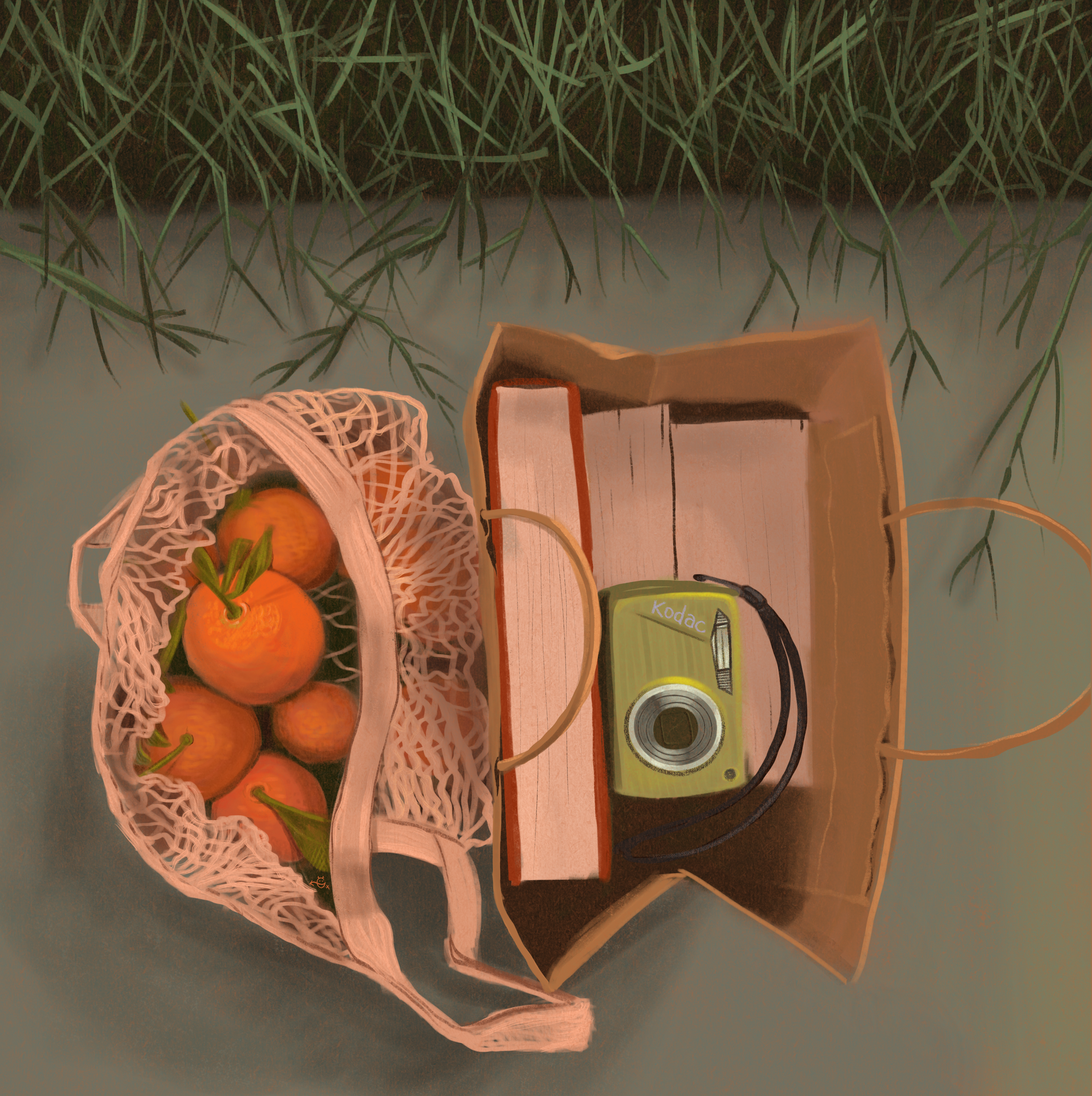 IMG_0412.png