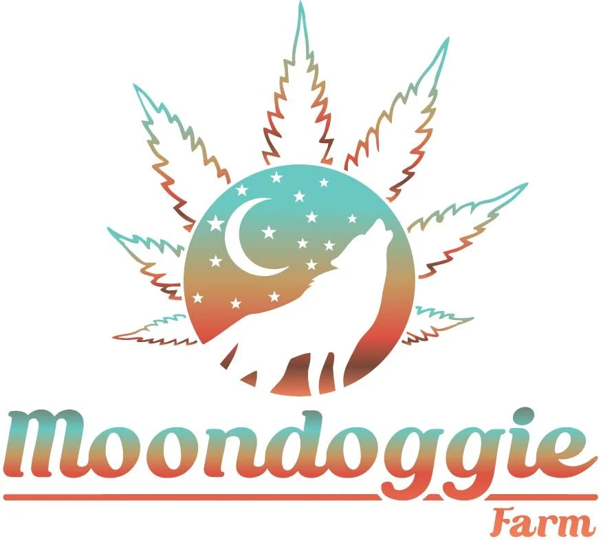 Aeroponically Grown Marijuana