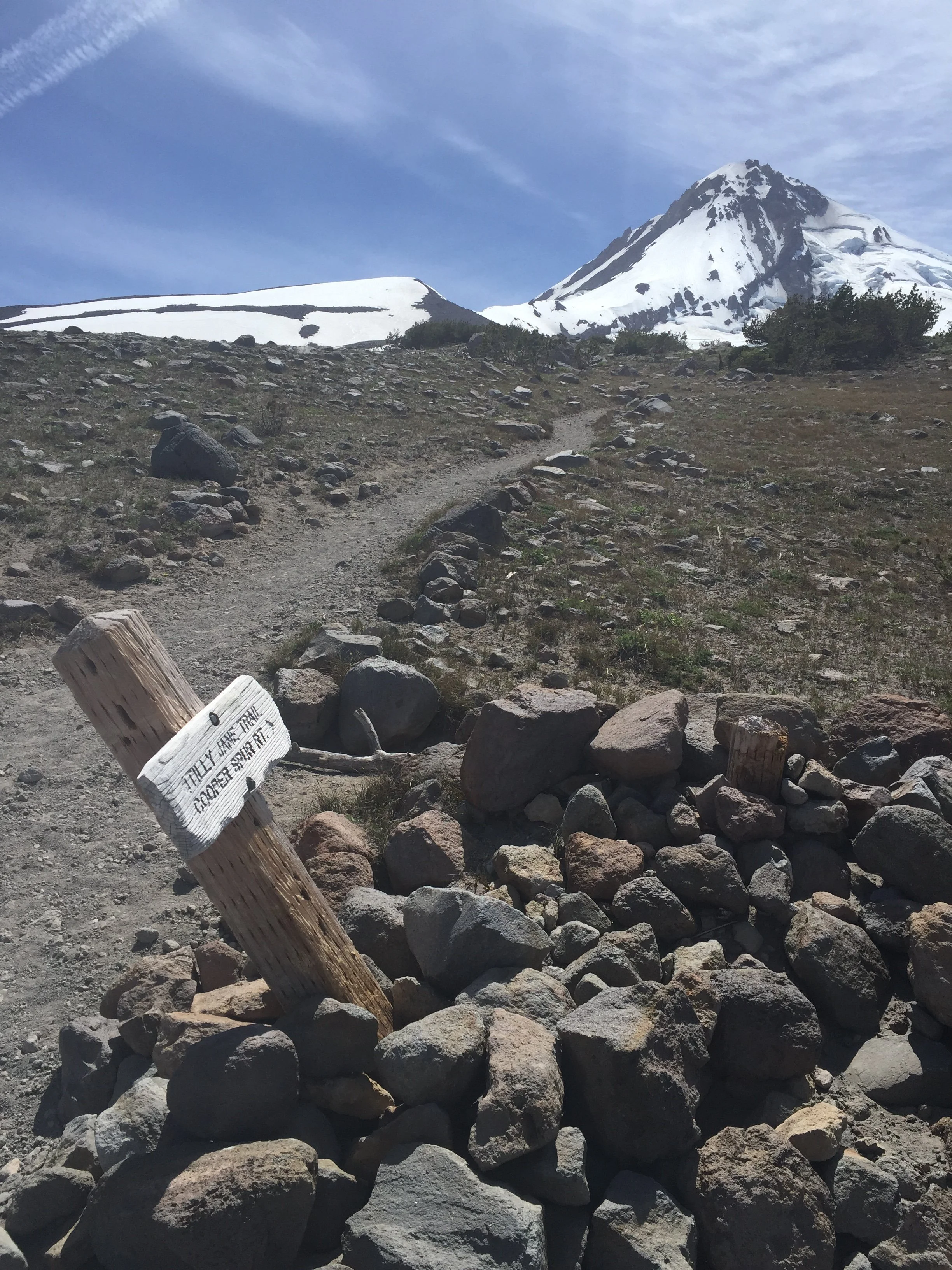 Mt Hood trail with trail marker showing the direction toward the mountain