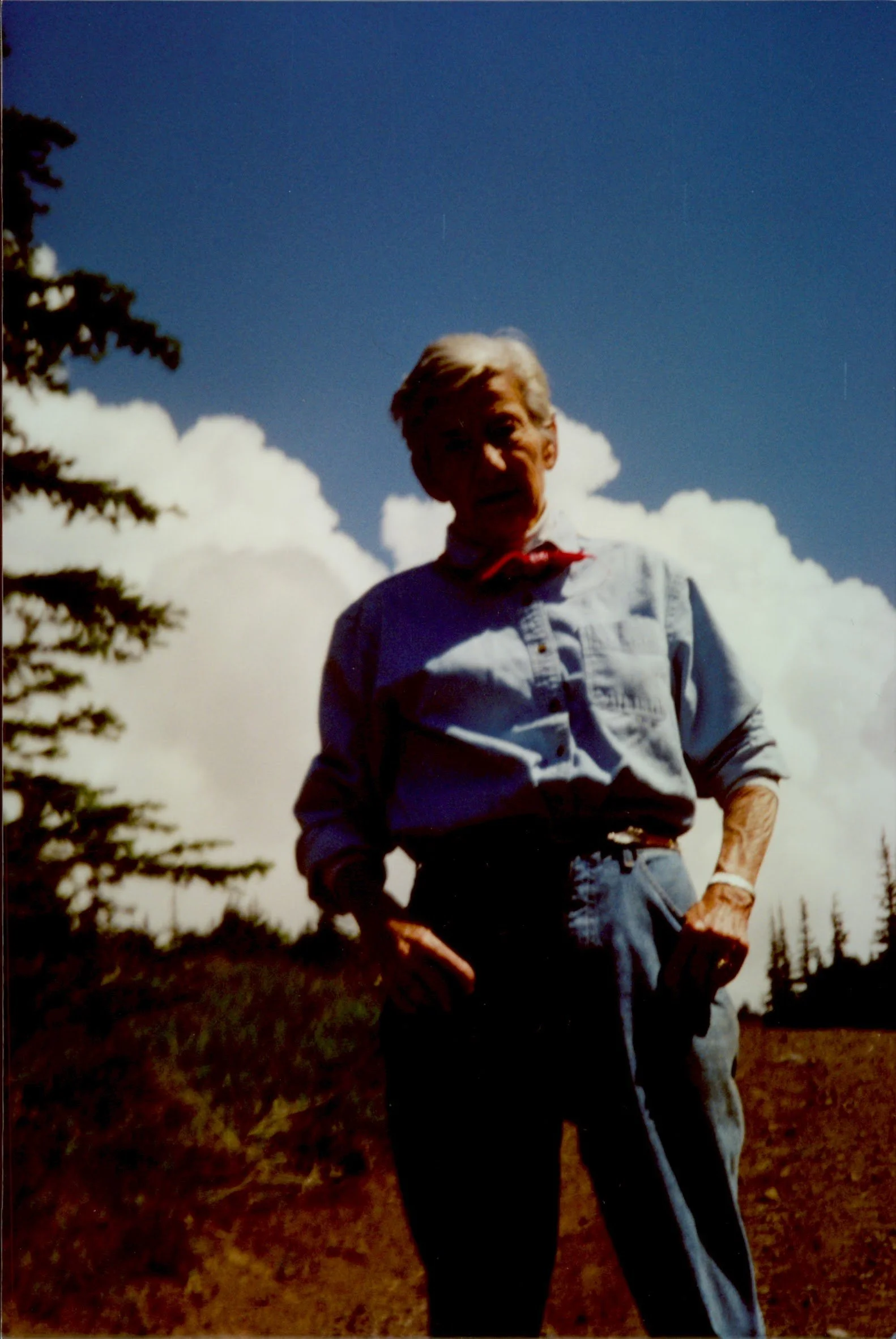 A person with short gray hair and light skin, wearing a denim shirt, red bandana, and jeans, stands outdoors in front of a blue sky with white clouds and evergreen trees.