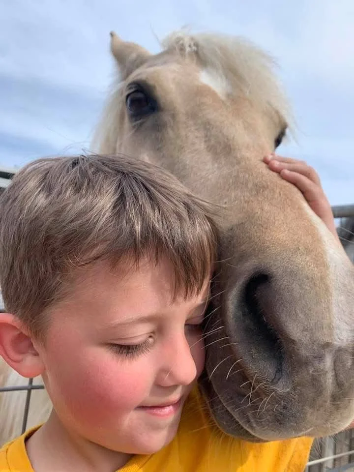Innocence of horses and humans.