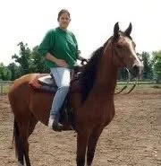 Person riding a brown horse outdoors with a green shirt and blue jeans.