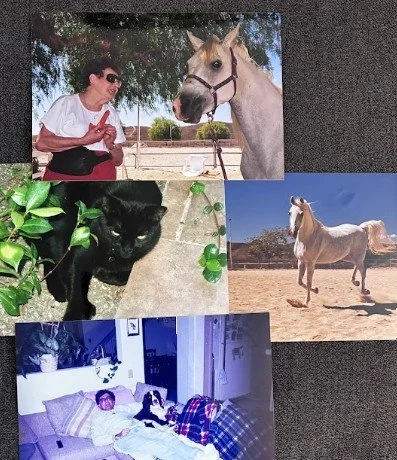 Collage of four photos: a woman in white shirt and sunglasses next to a white horse; a black cat among green leaves; a white horse running in a sandy field; a woman and a black and white cat resting on a bed.