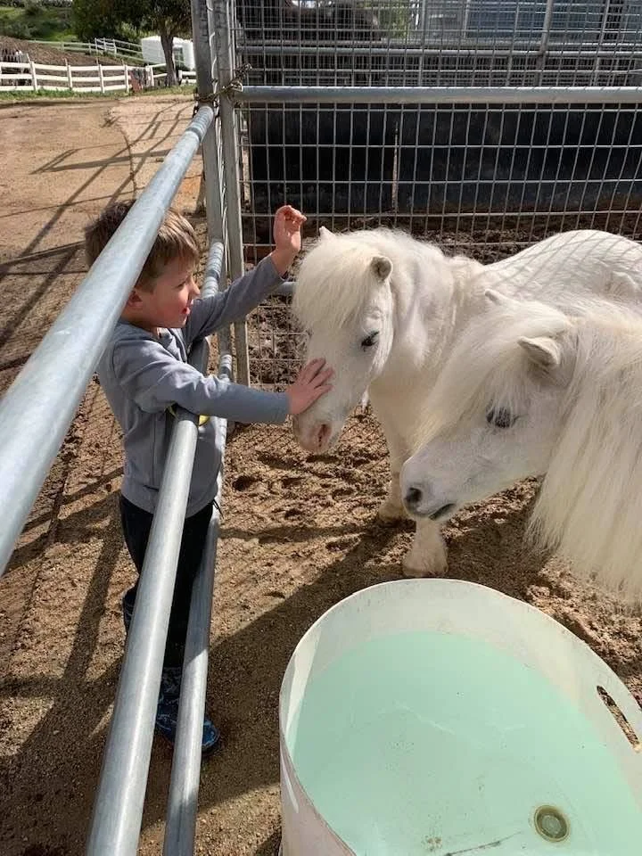 Horses are magical creatures that recognize young, calm energy.