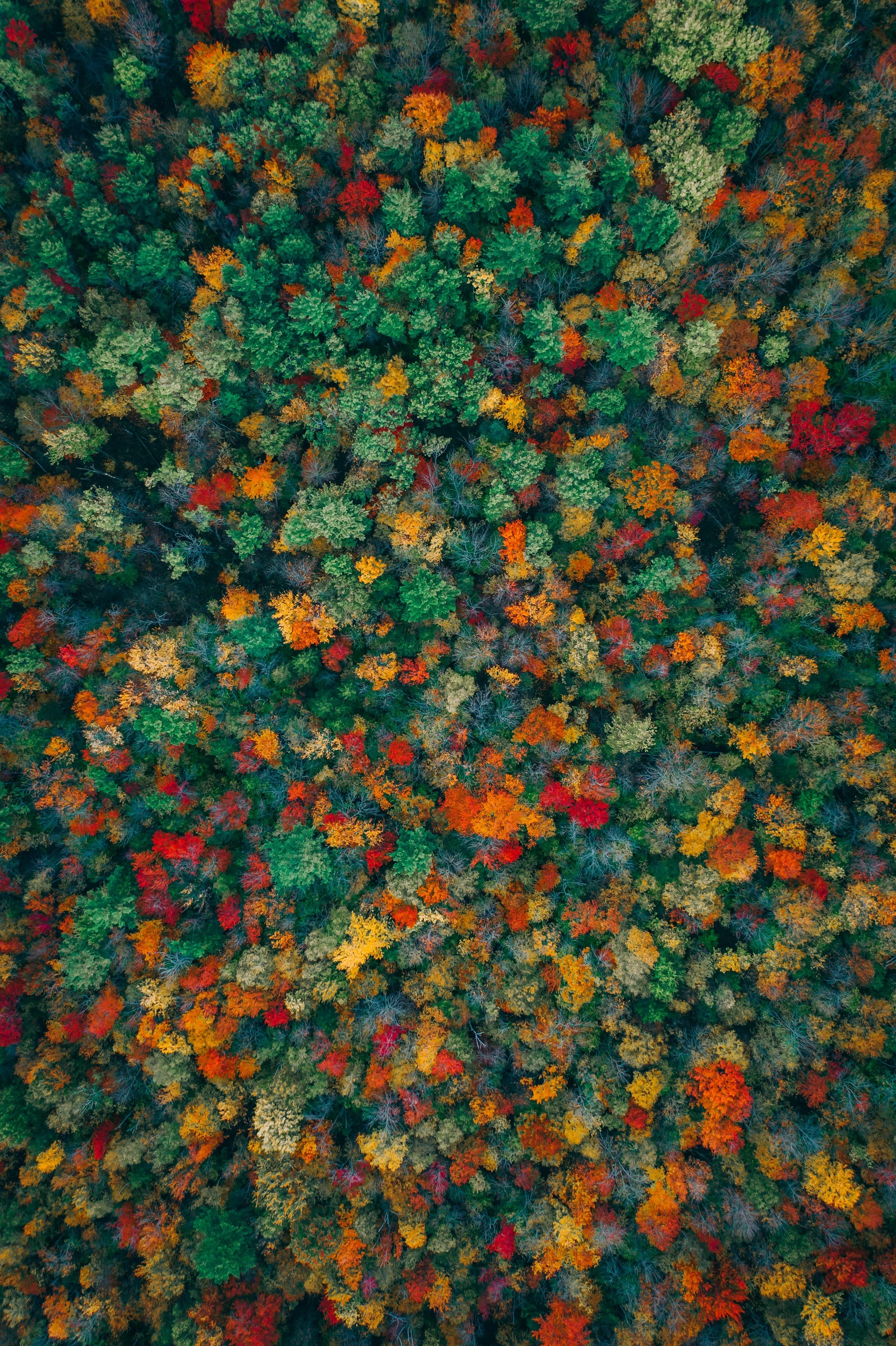 Navigating Change &amp; Complexity