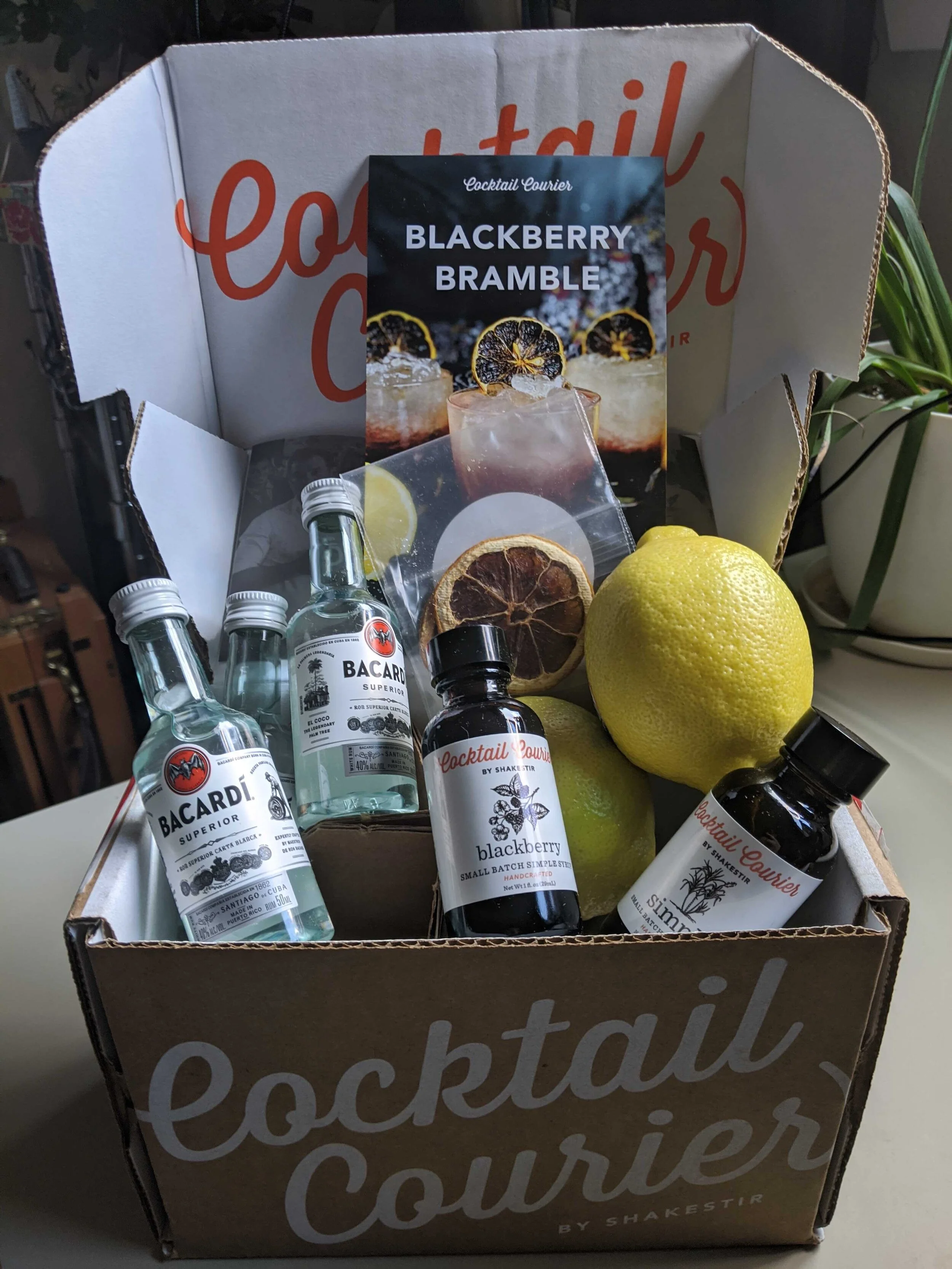 I got the Blackberry Bramble kit, complete with a dehydrated lemon wheel garnish. It was delicious and I saved those adorable simple syrup glass bottles.