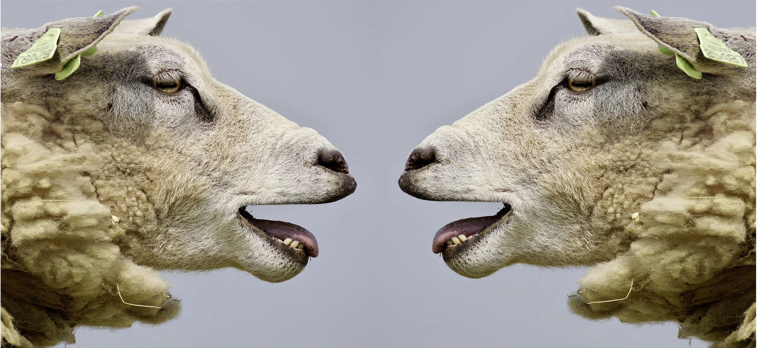 Customer Experience-driven or Design-led?